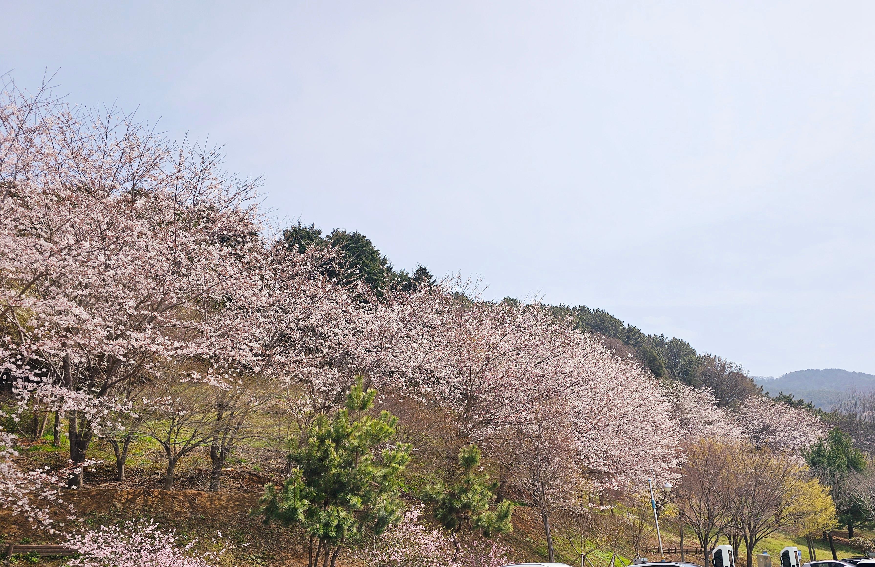 경화동 실거주자 사진 1