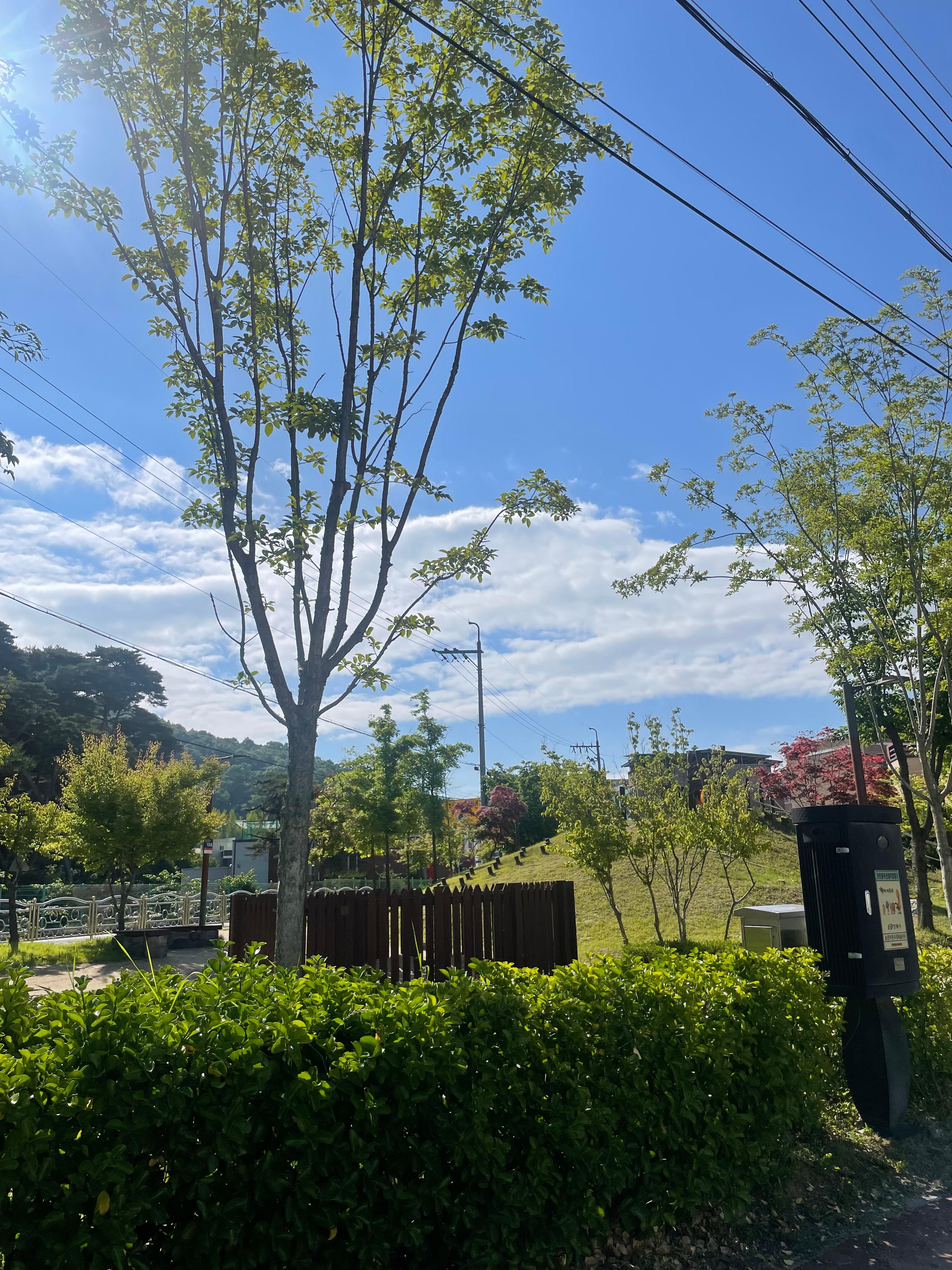 송천동 실거주자 사진 1