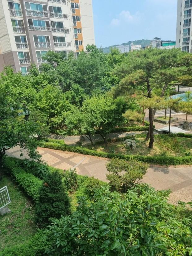 중화산동2가 실거주자 사진 2