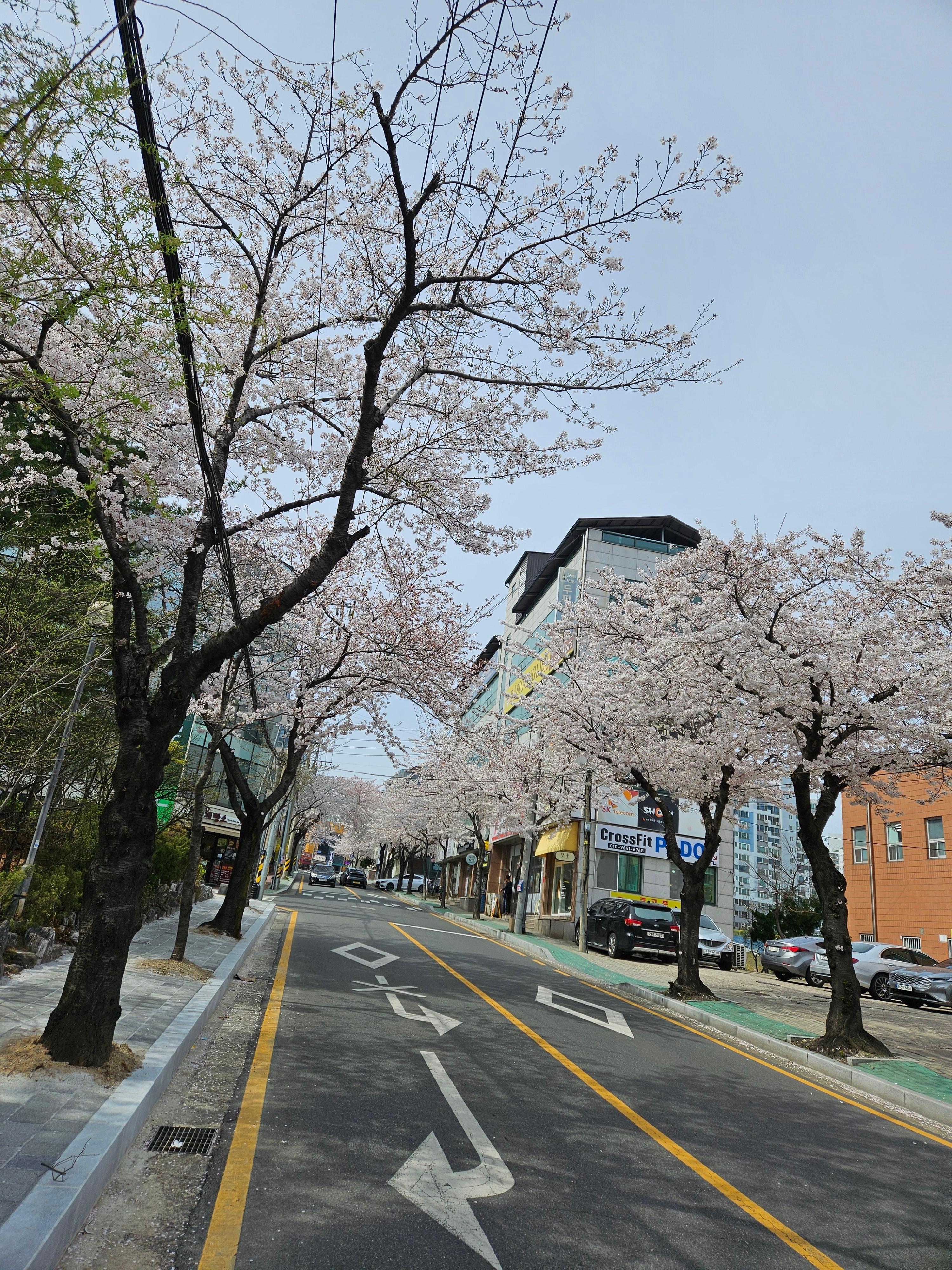 두호동 실거주자 사진 2