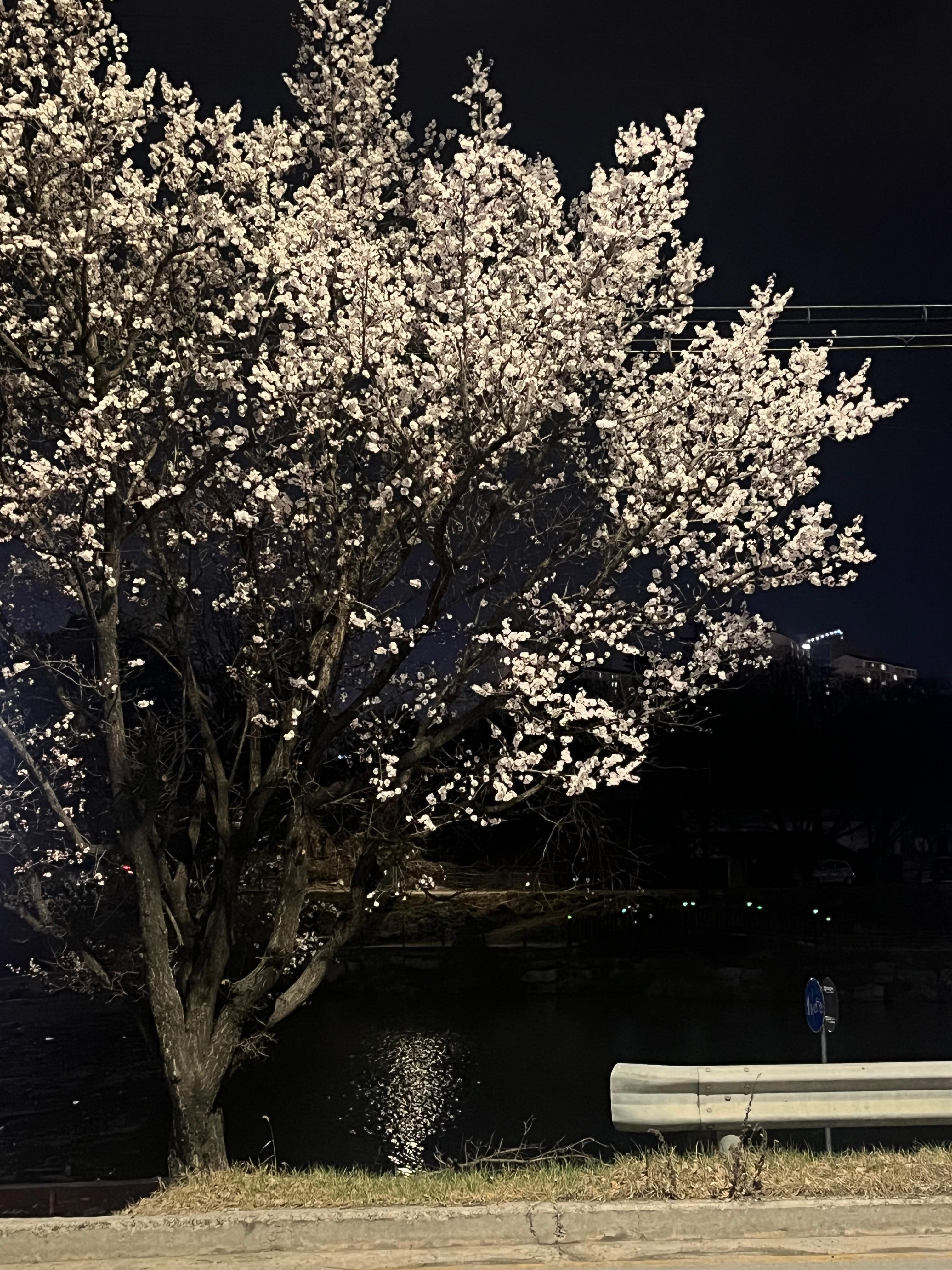 단구동 실거주자 사진 2