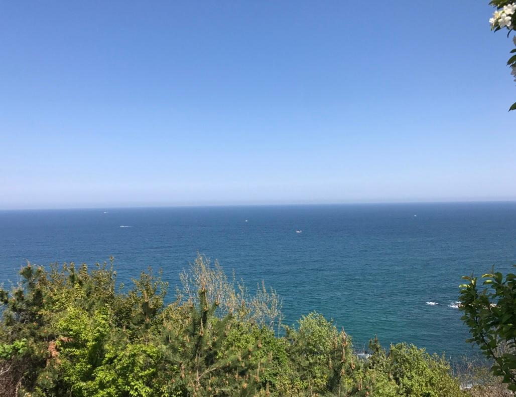 조양동 실거주자 사진 1