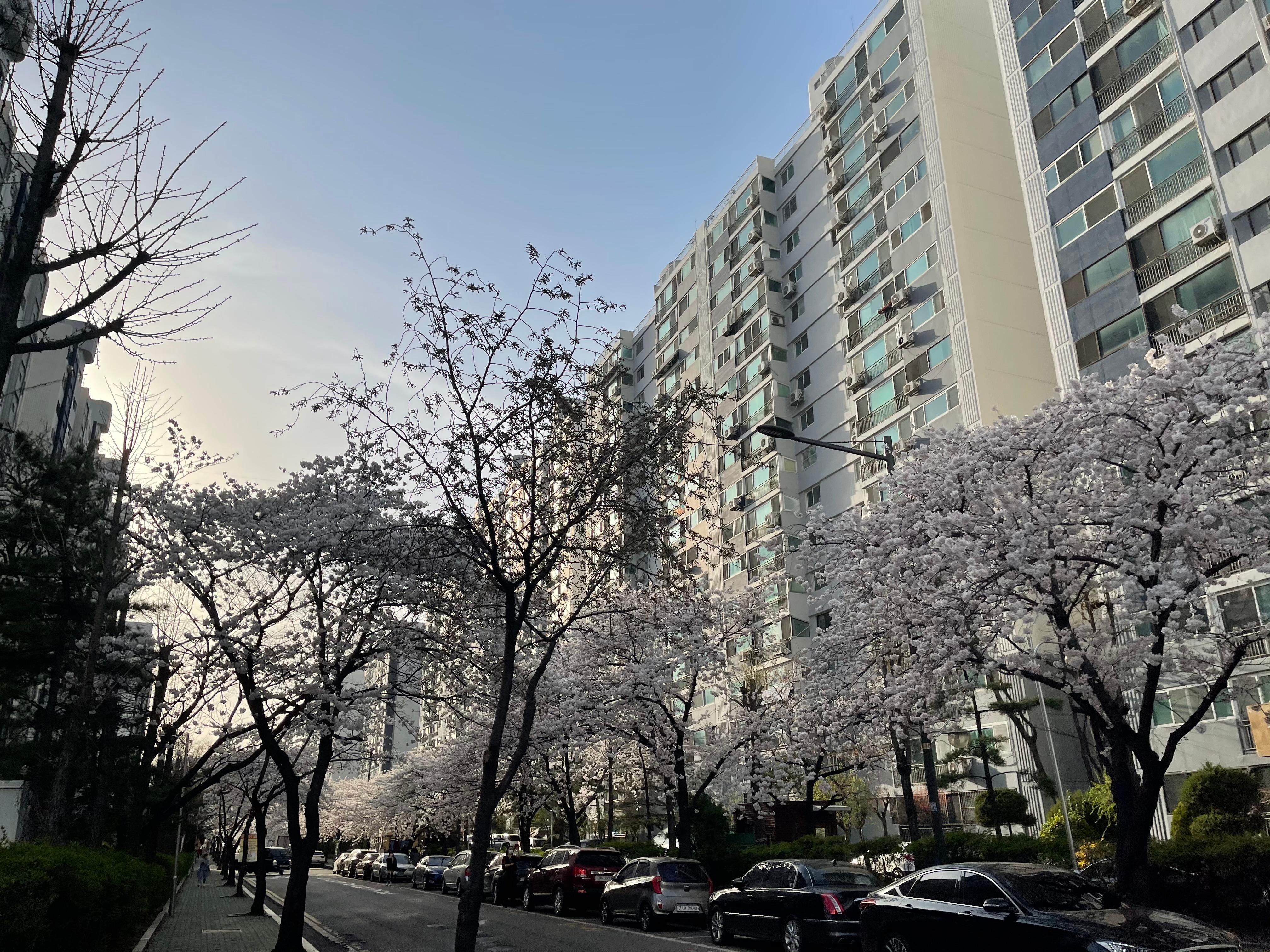 계산동 실거주자 사진 3