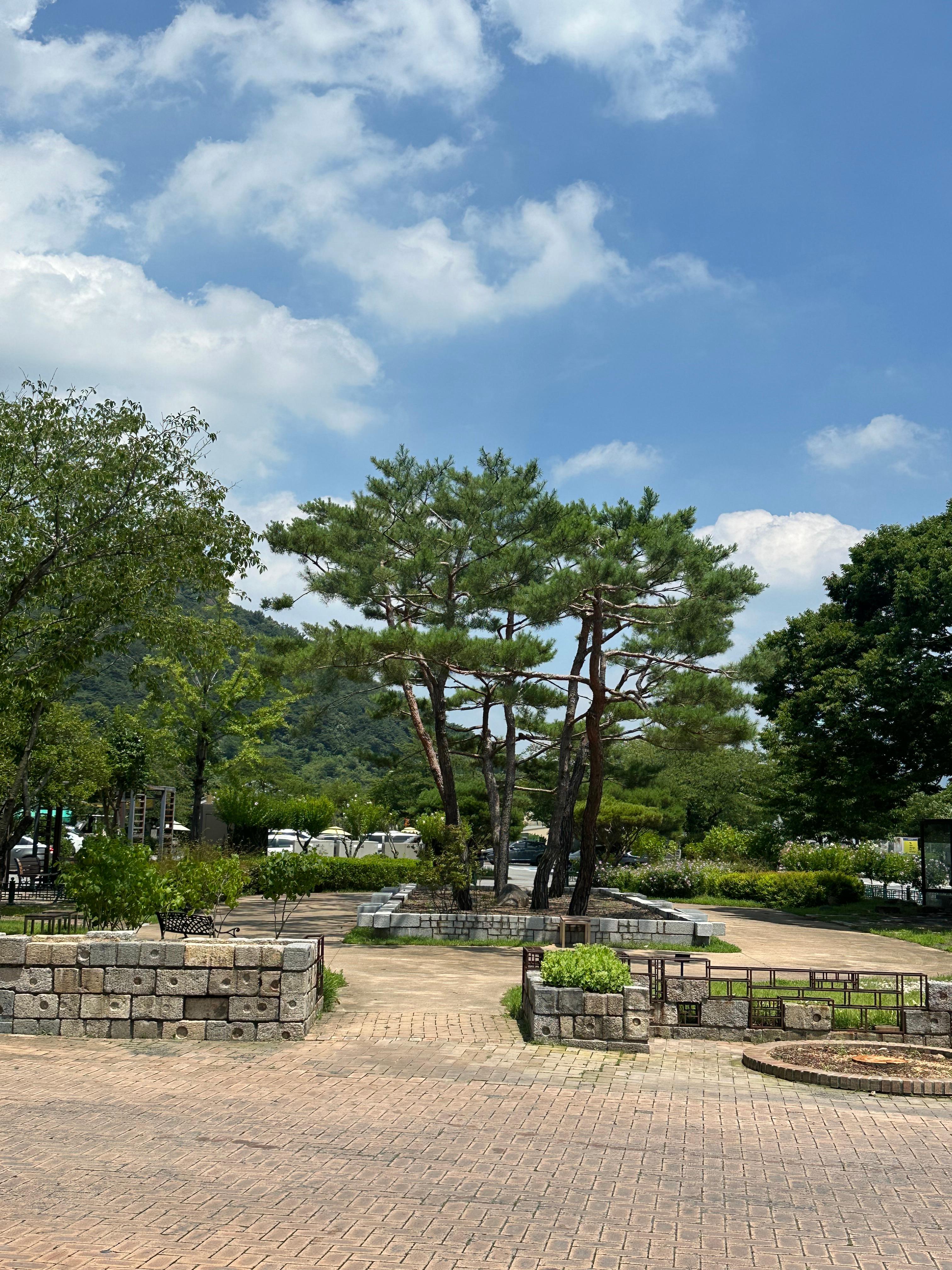 장전동 실거주자 사진 2