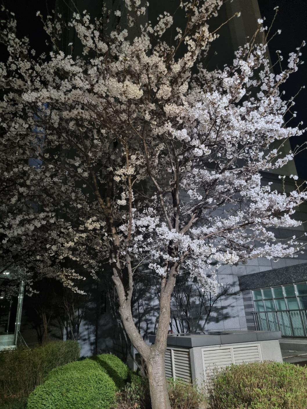 태평동 실거주자 사진 1