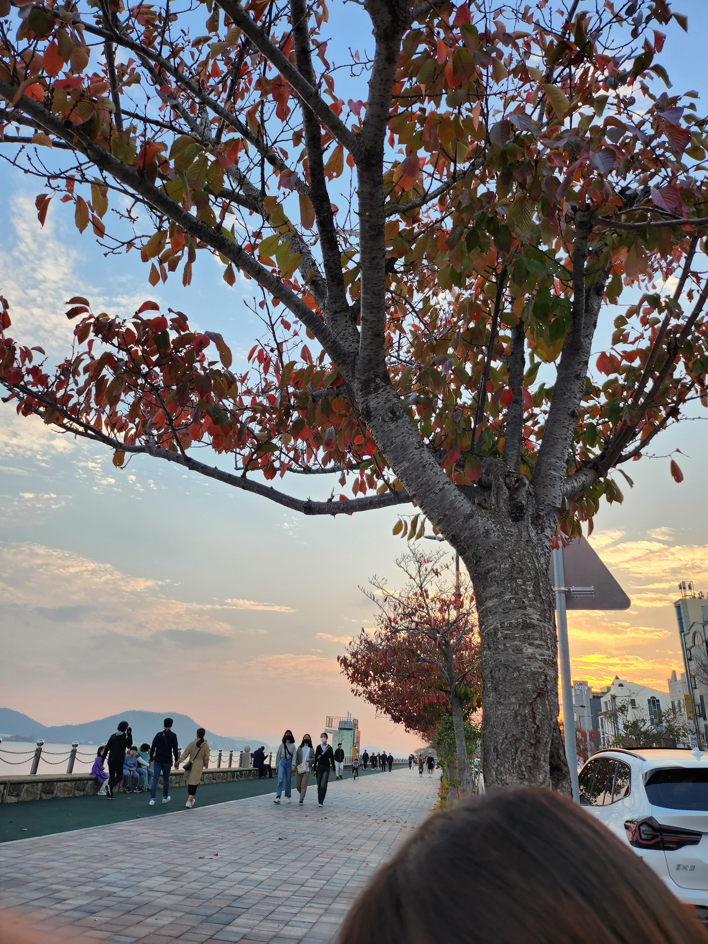 상동 실거주자 사진 2