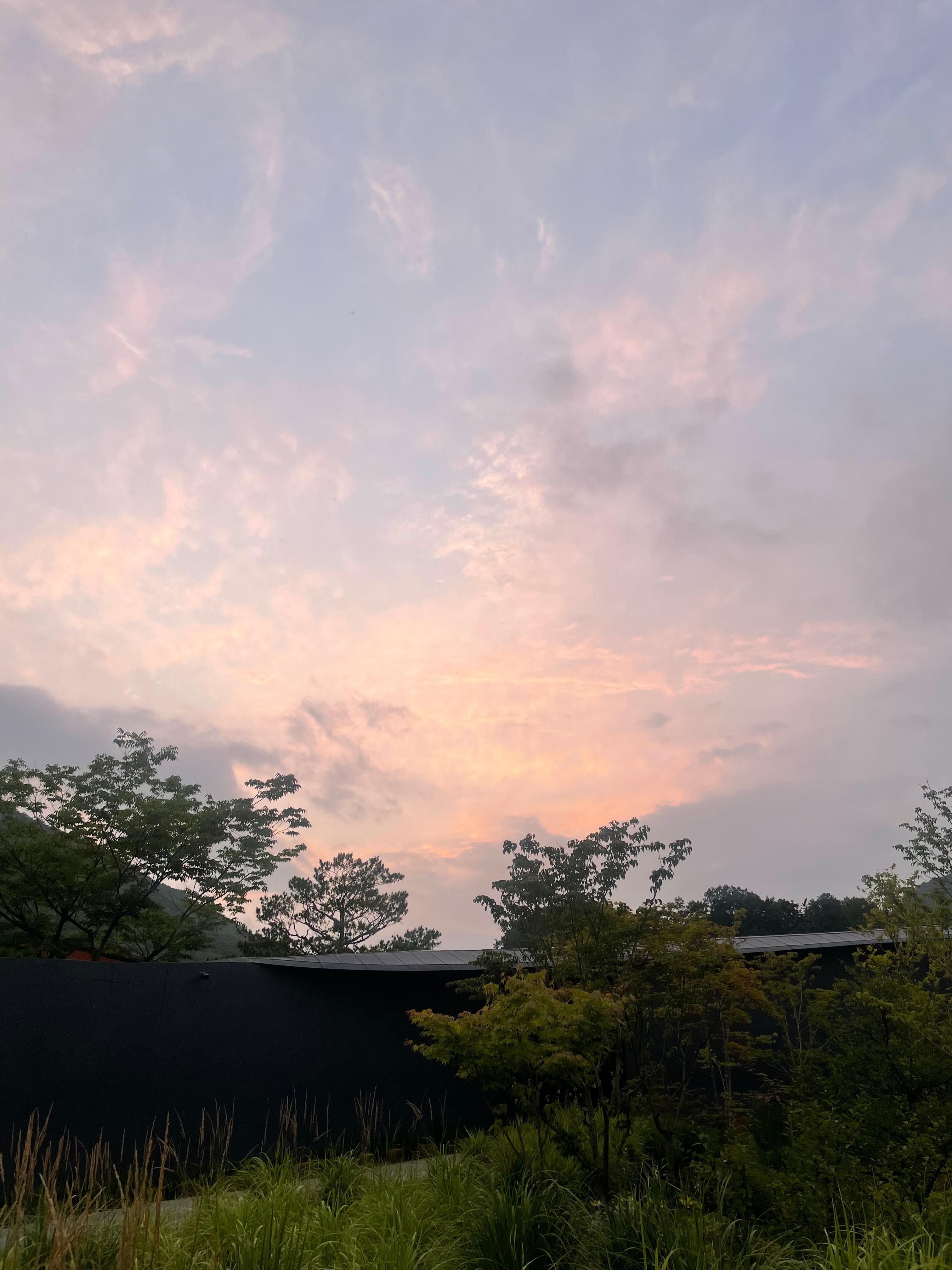 대명동 실거주자 사진 3
