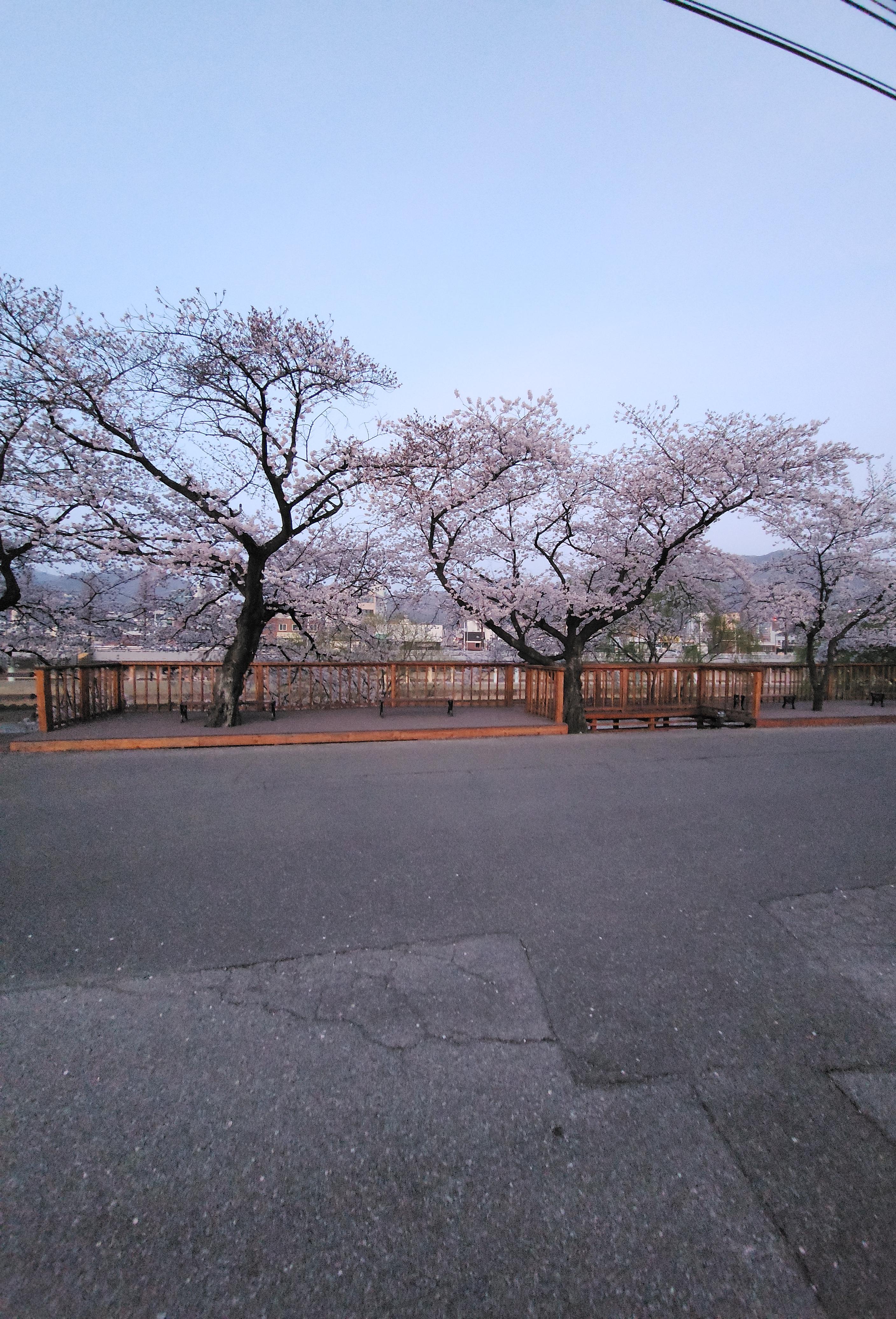 서면 실거주자 사진 3