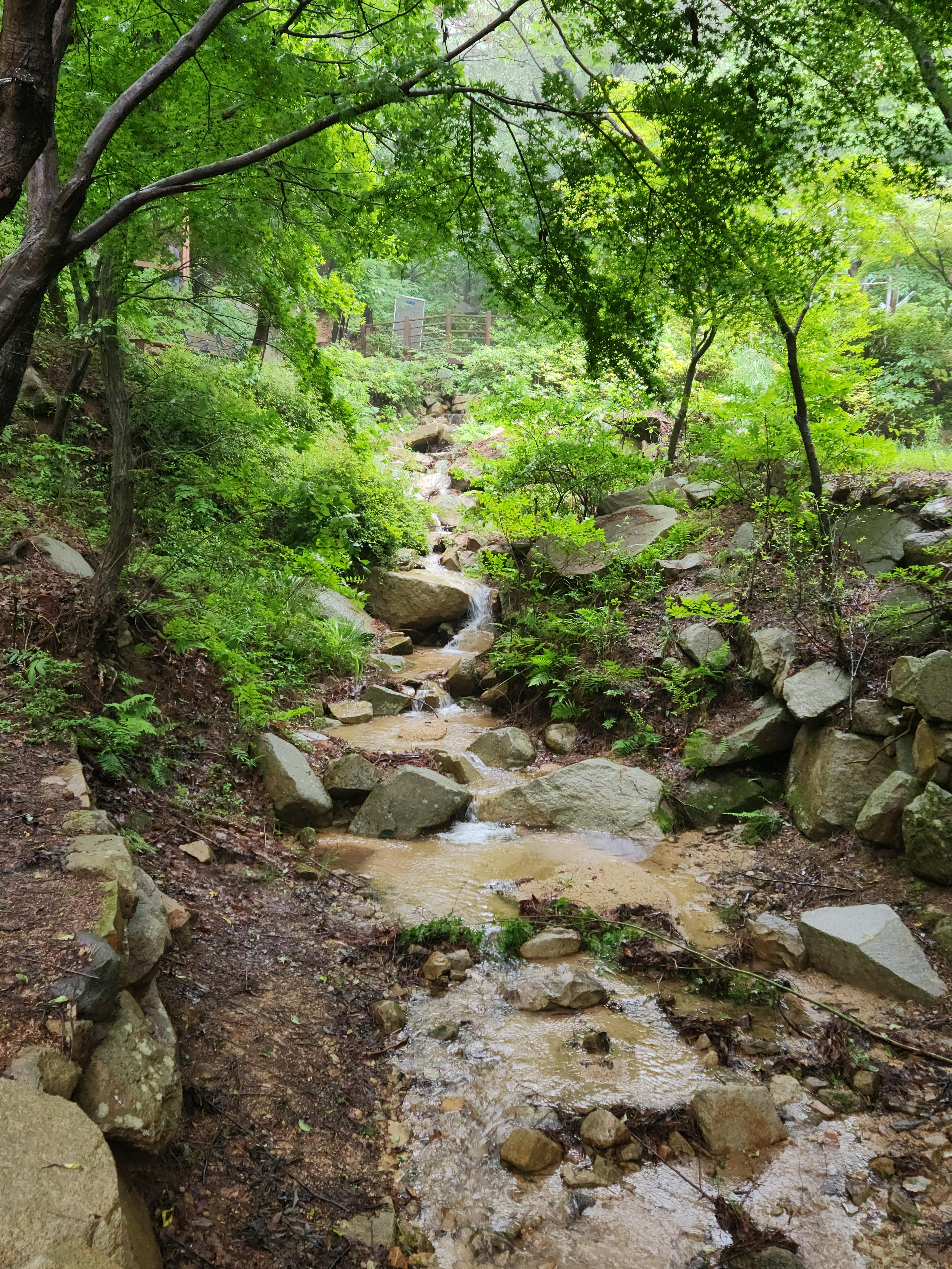 주례동 실거주자 사진 1