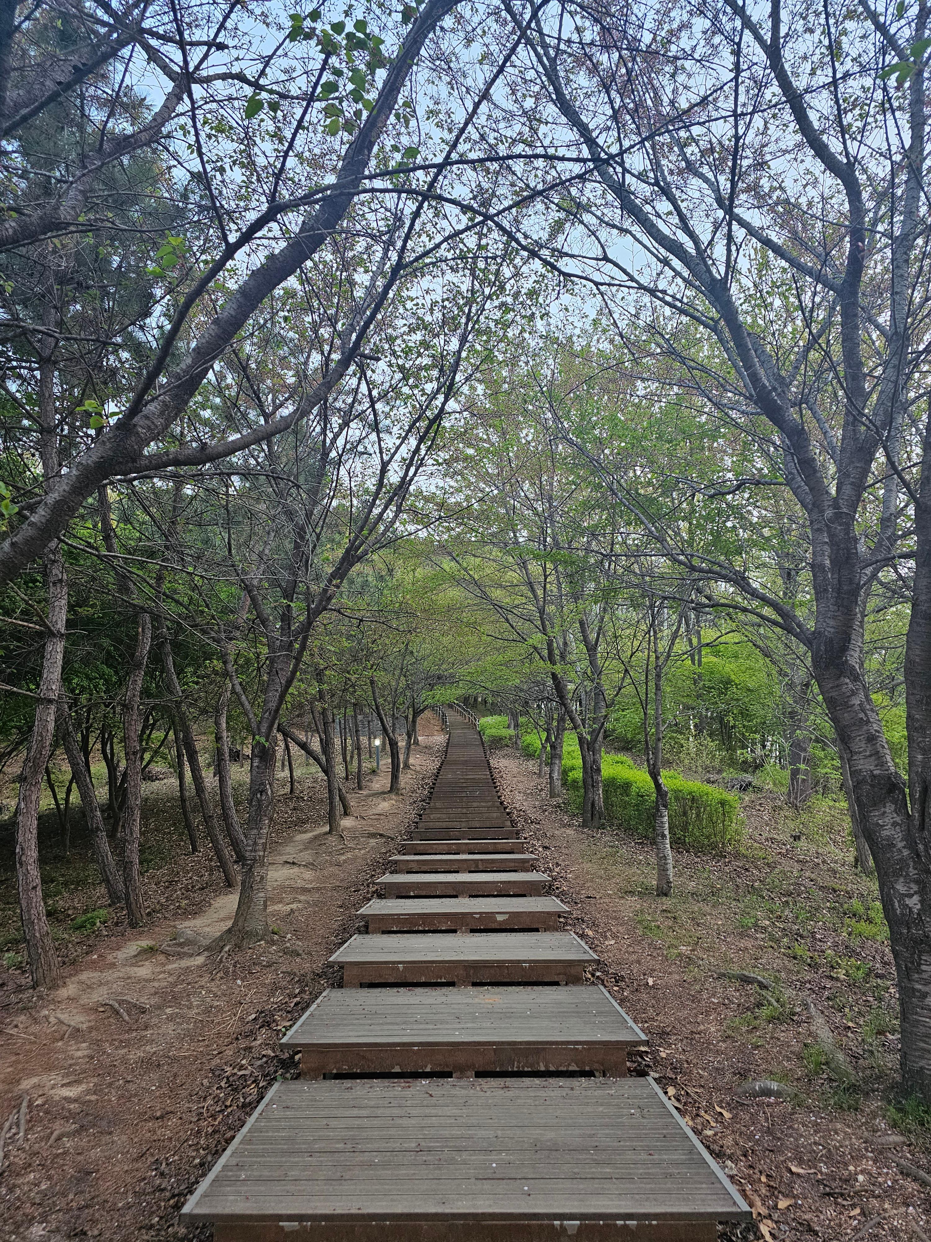 배방읍 실거주자 사진 1