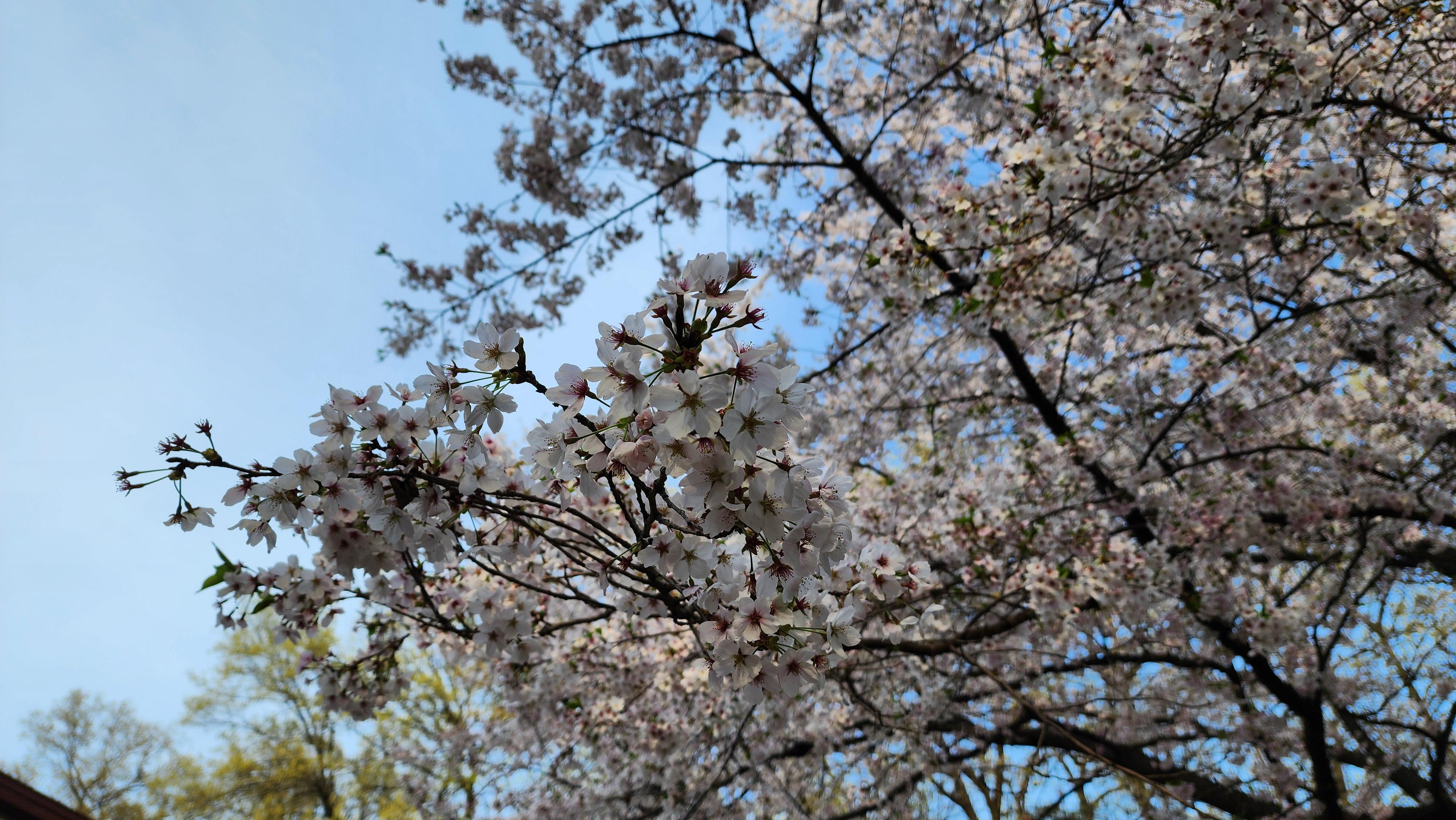 홍북읍 실거주자 사진 3