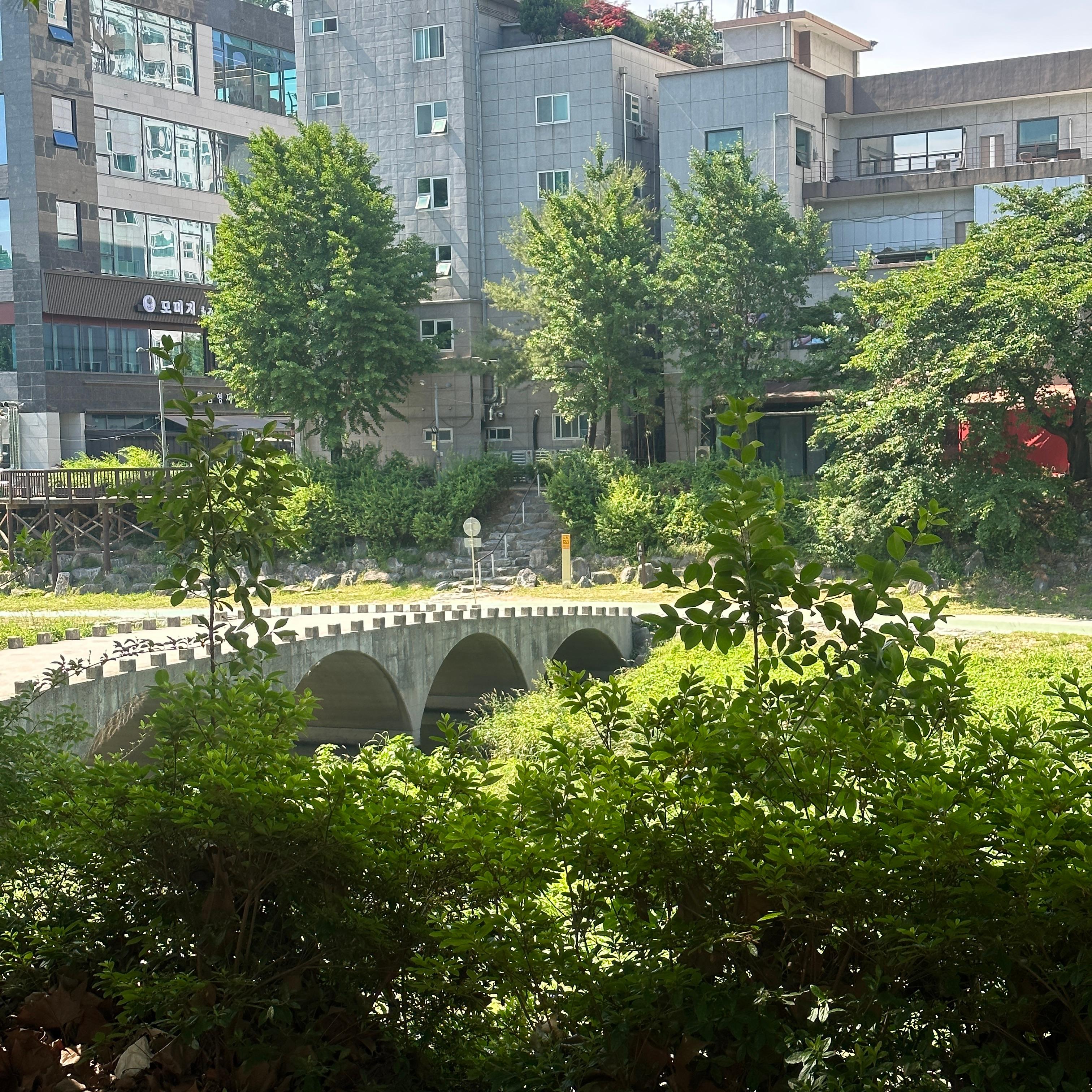 봉명동 실거주자 사진 2