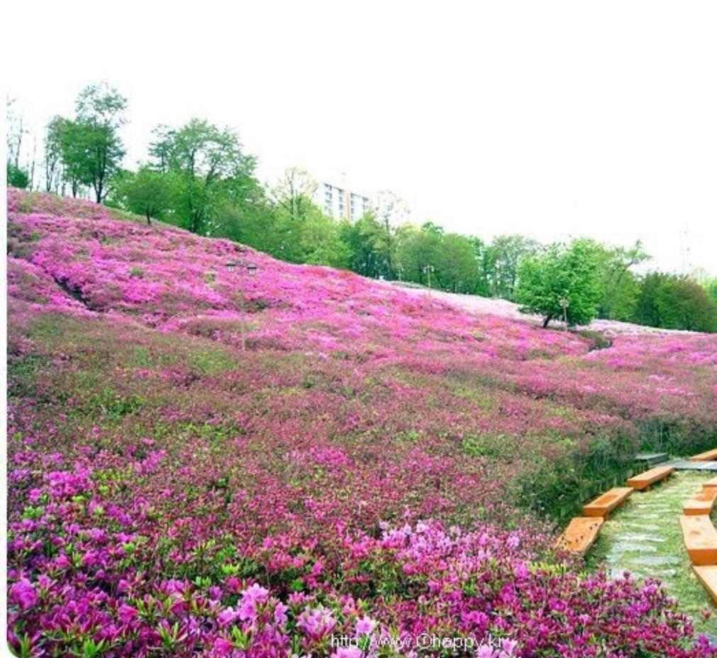 산본동 실거주자 사진 2