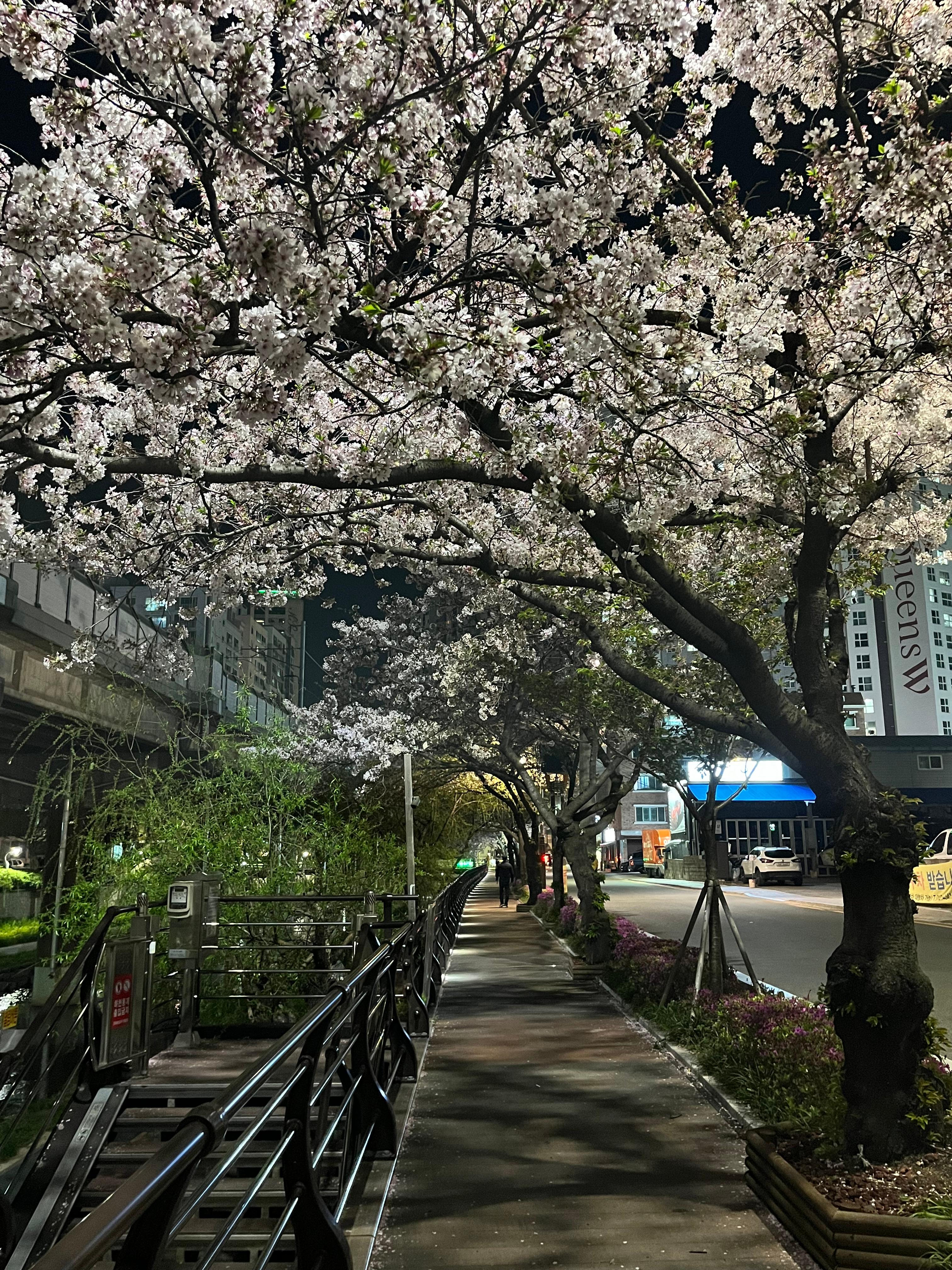 장전동 실거주자 사진 1