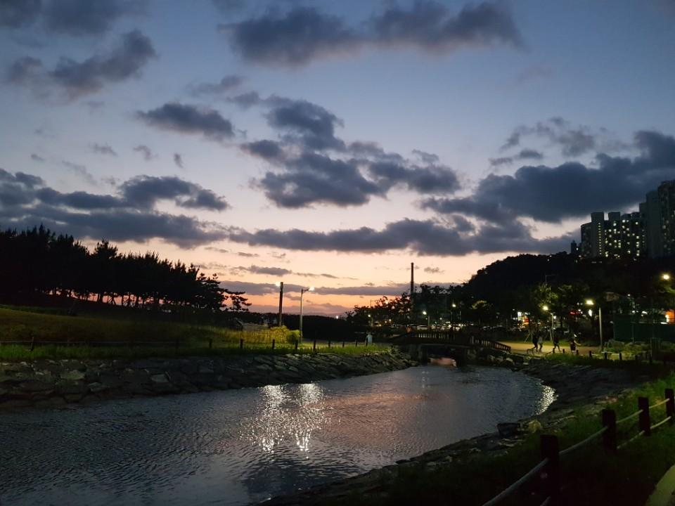 신평동 실거주자 사진 1