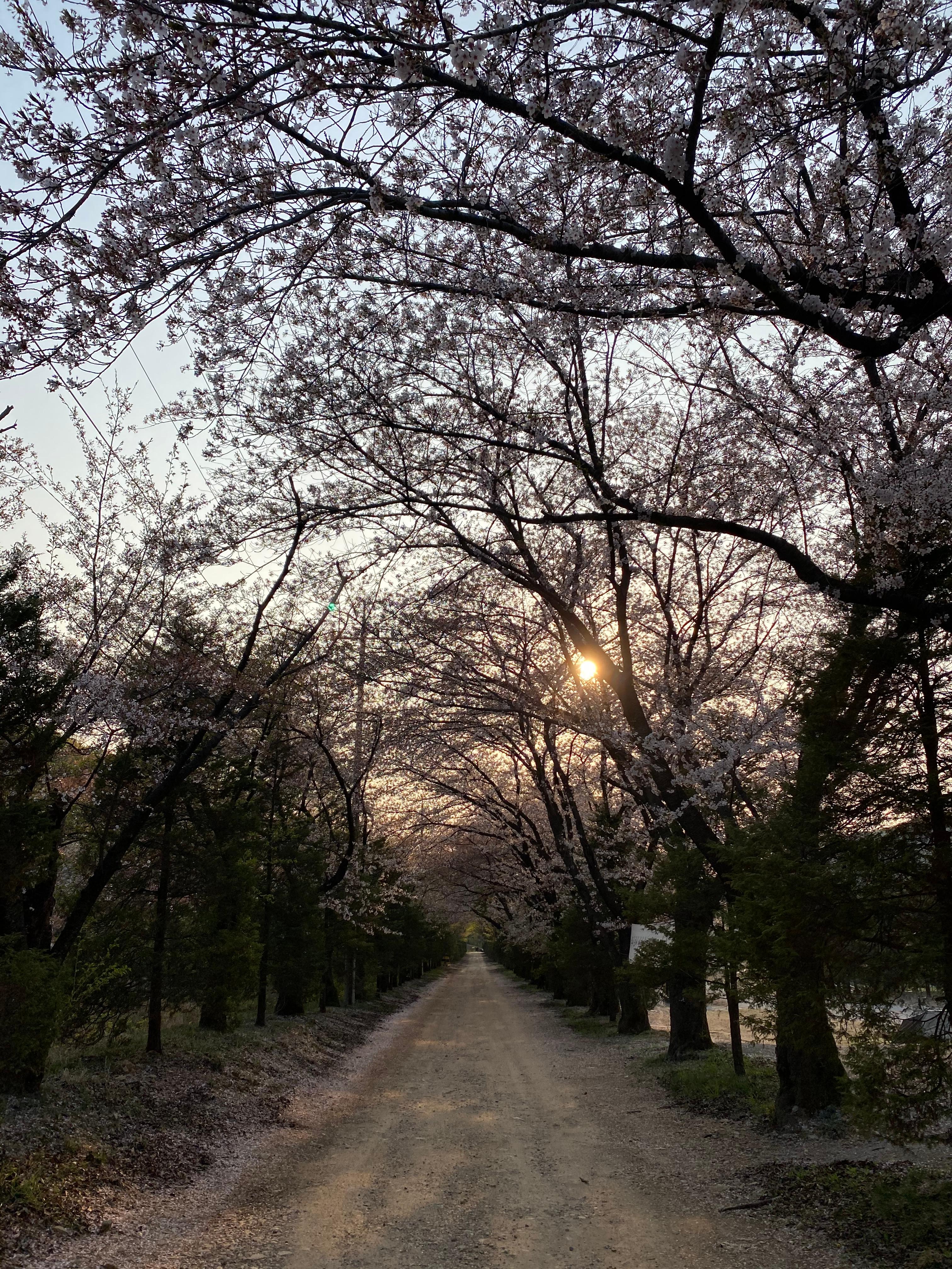 청계동 실거주자 사진 1