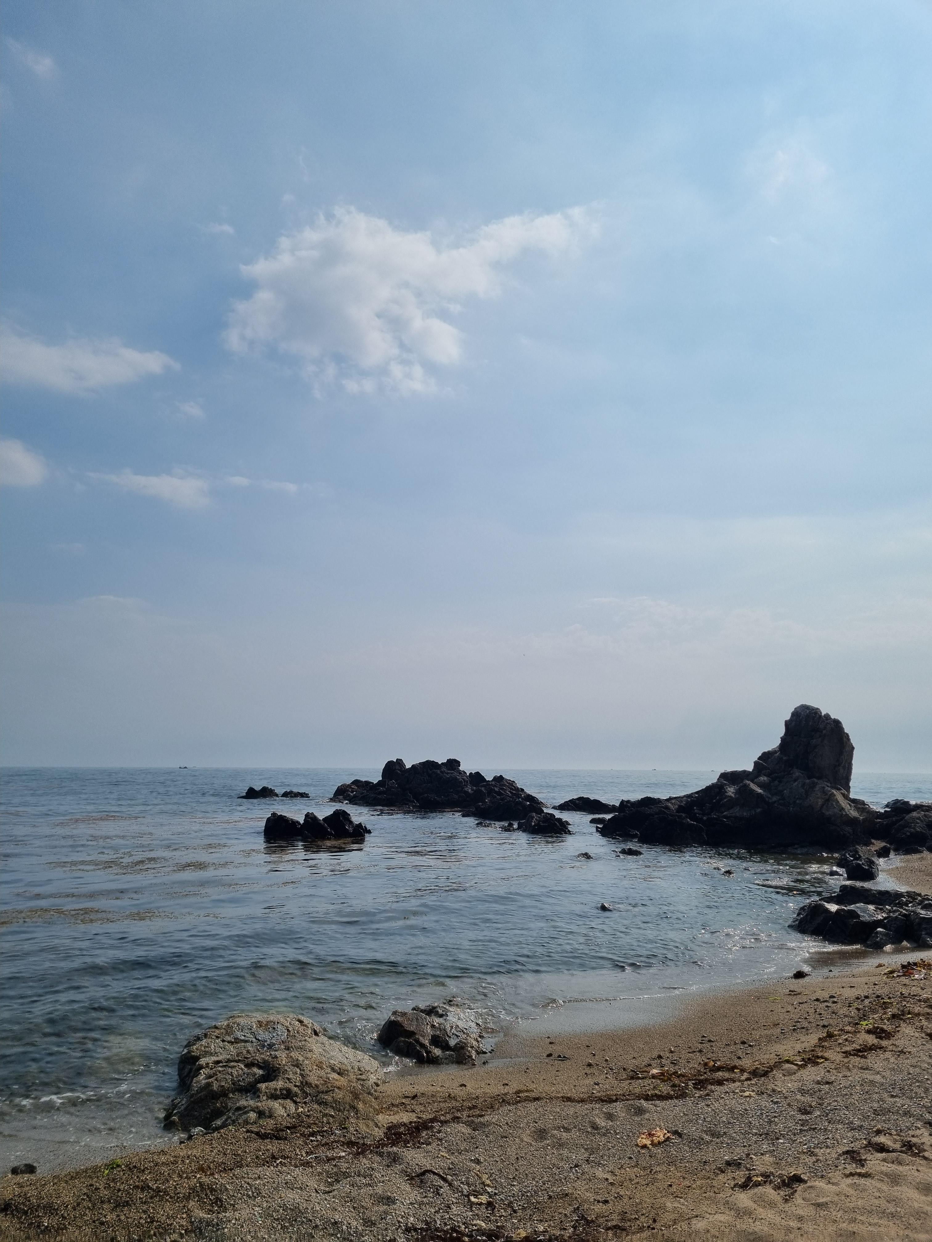 온산읍 실거주자 사진 1