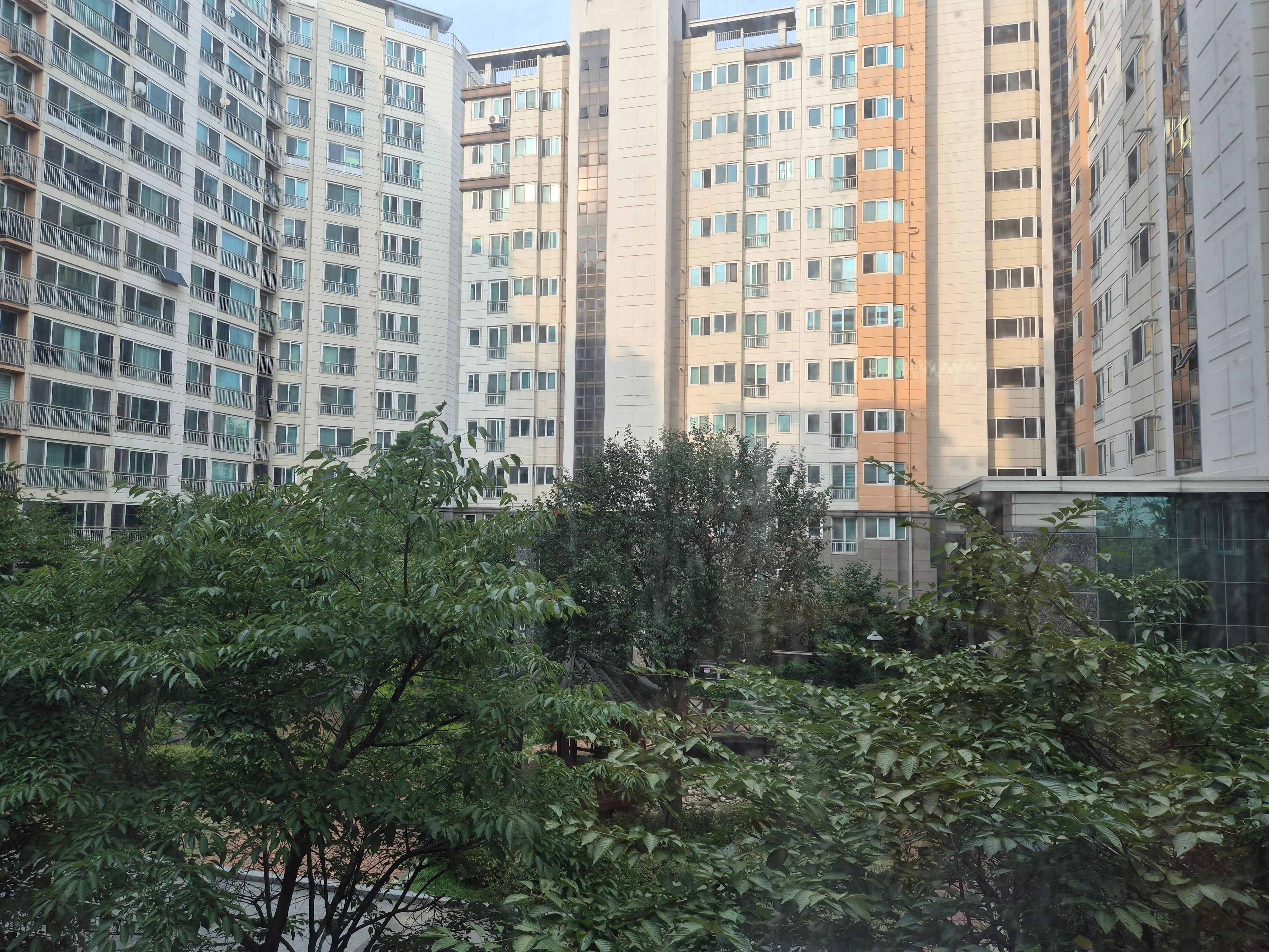 노량진동 실거주자 사진 8