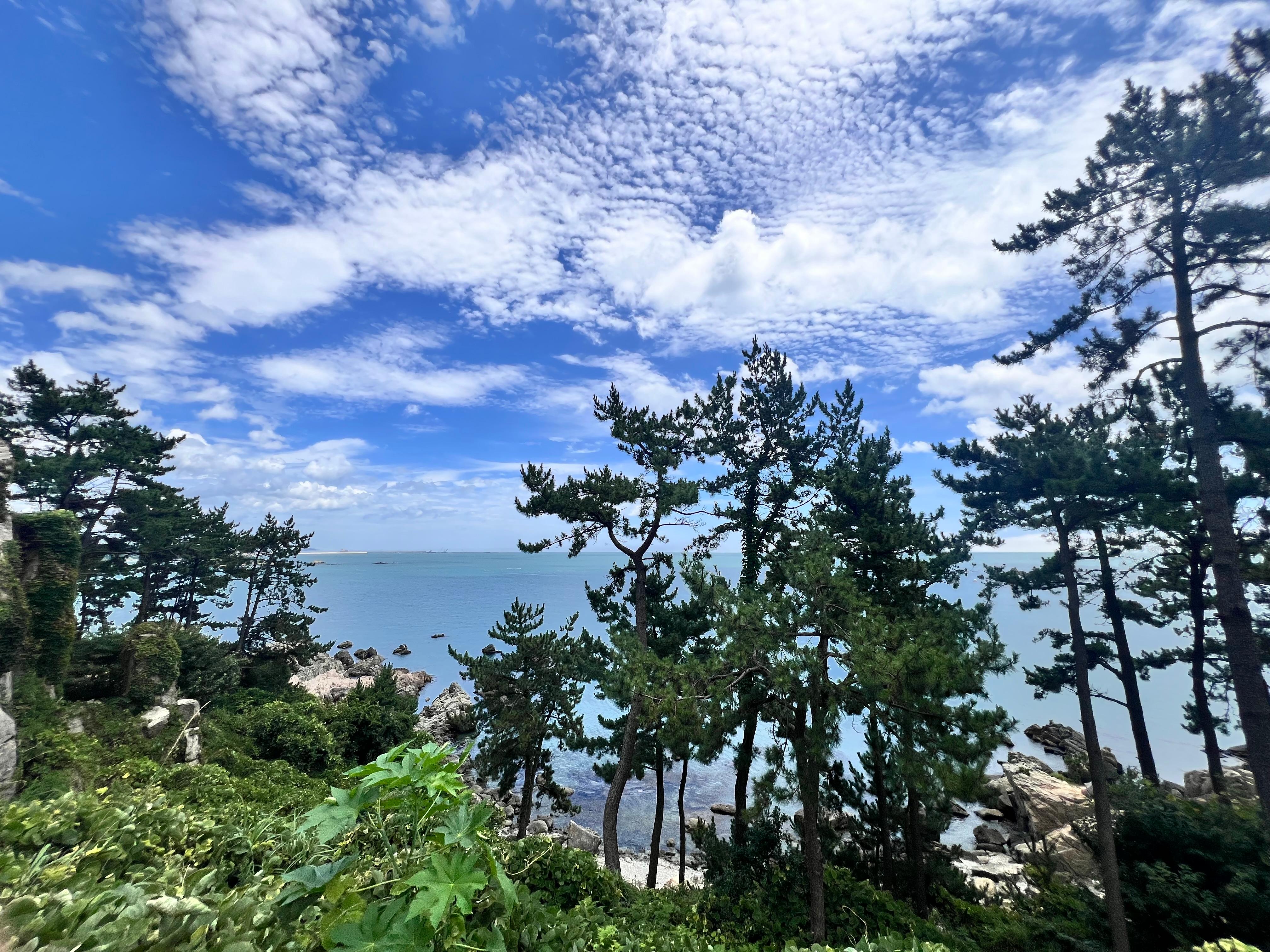 남산동 실거주자 사진 2