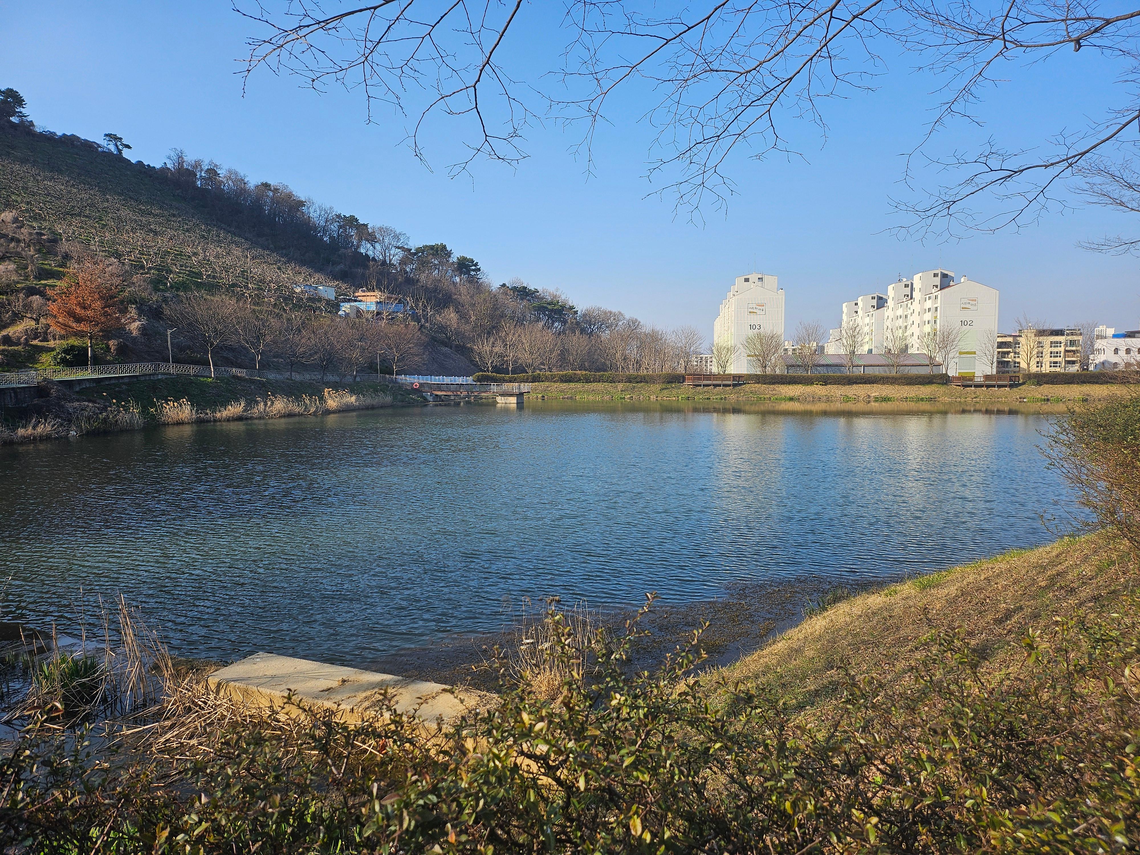 진영읍 실거주자 사진 2