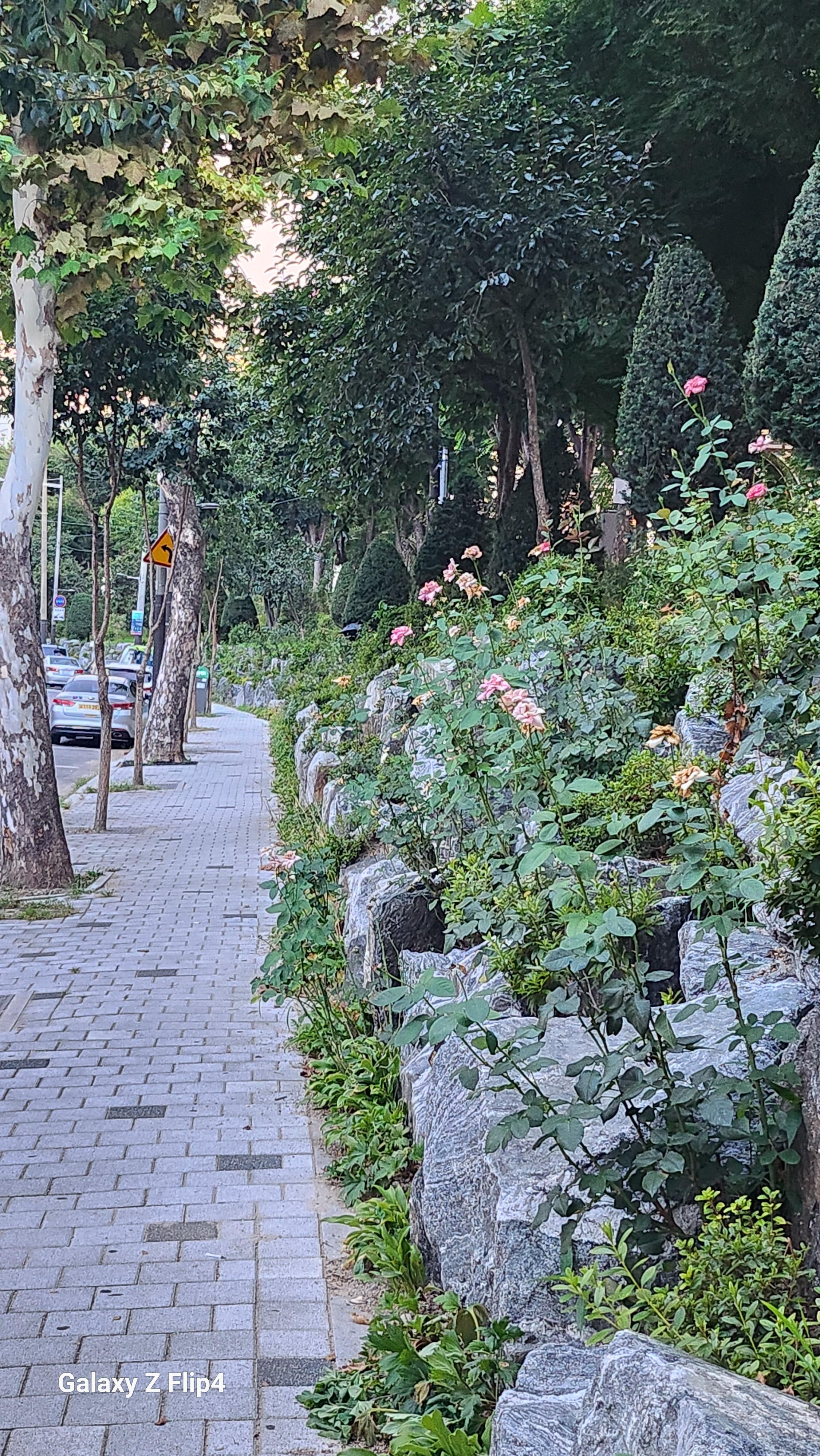 묵동 실거주자 사진 1