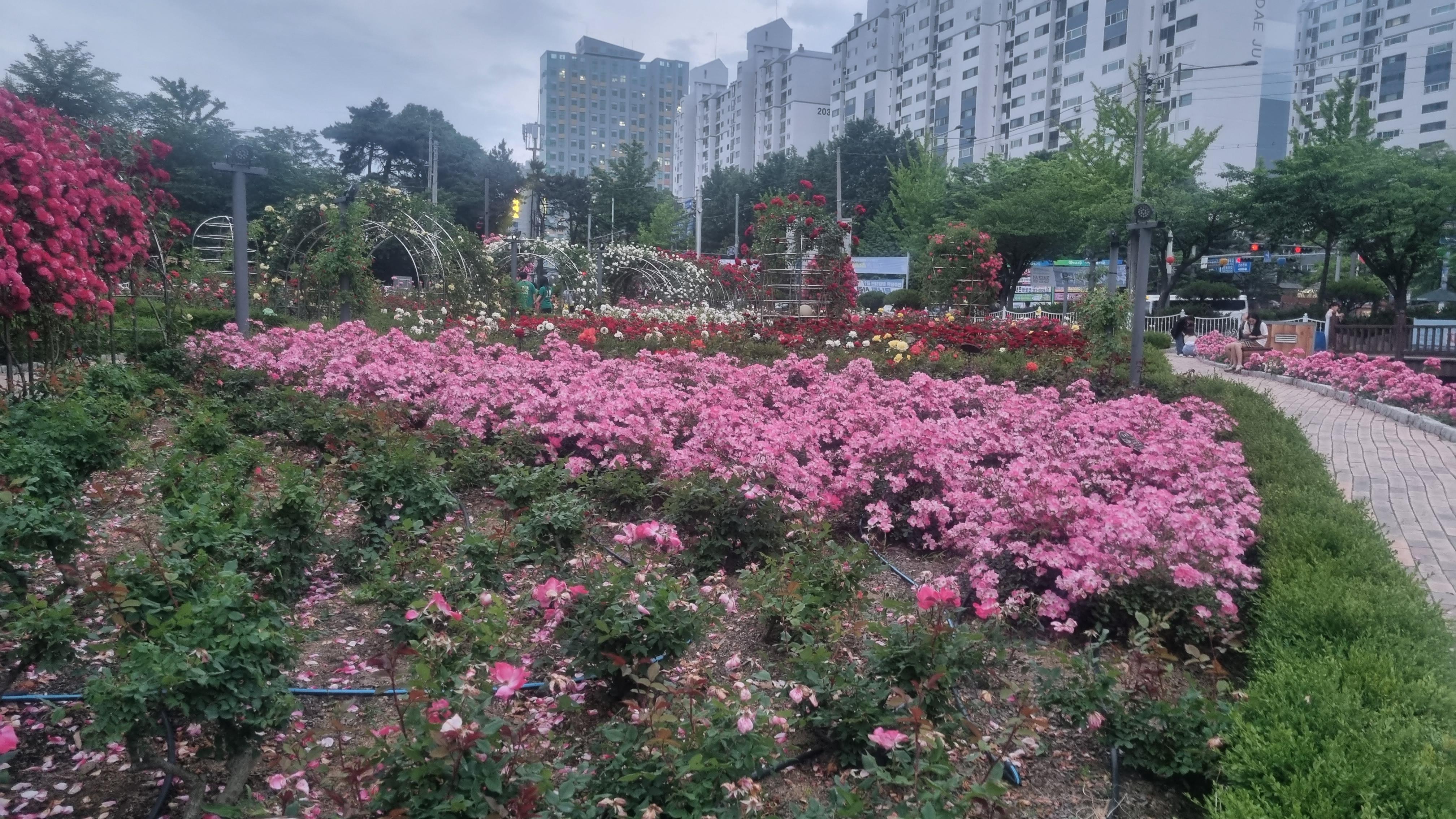 풍암동 실거주자 사진 2