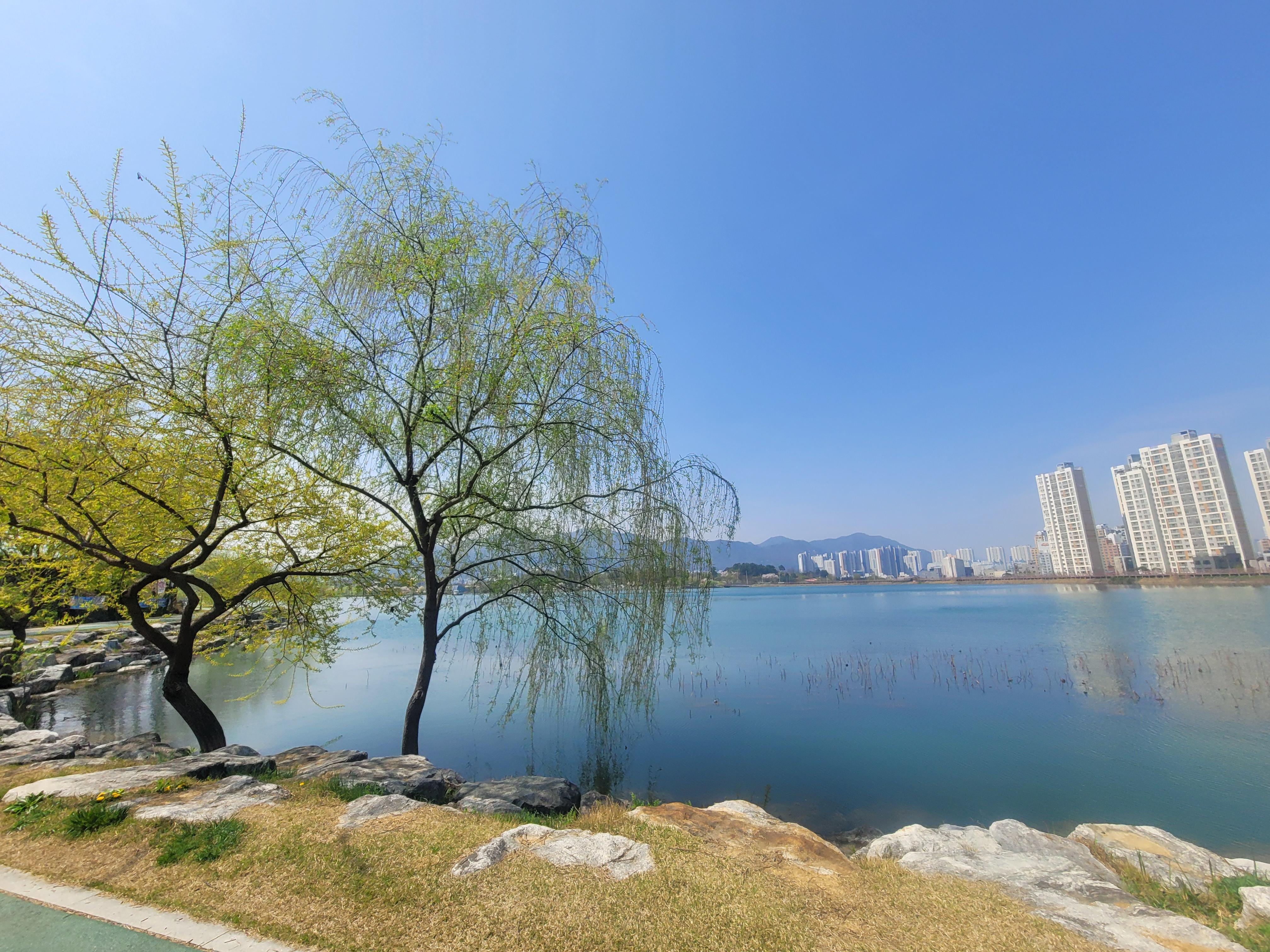 계양동 실거주자 사진 2