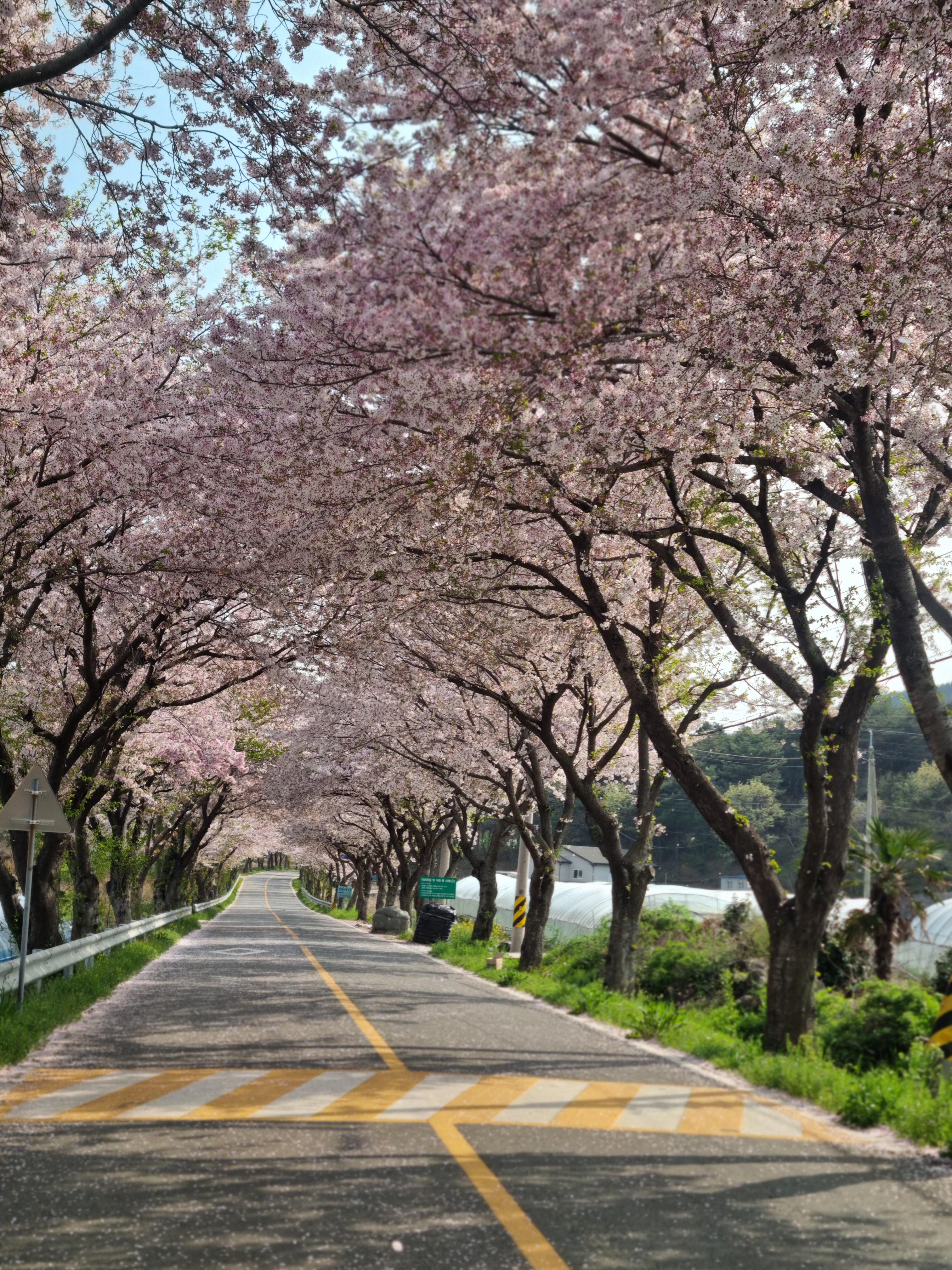 정동면 실거주자 사진 2