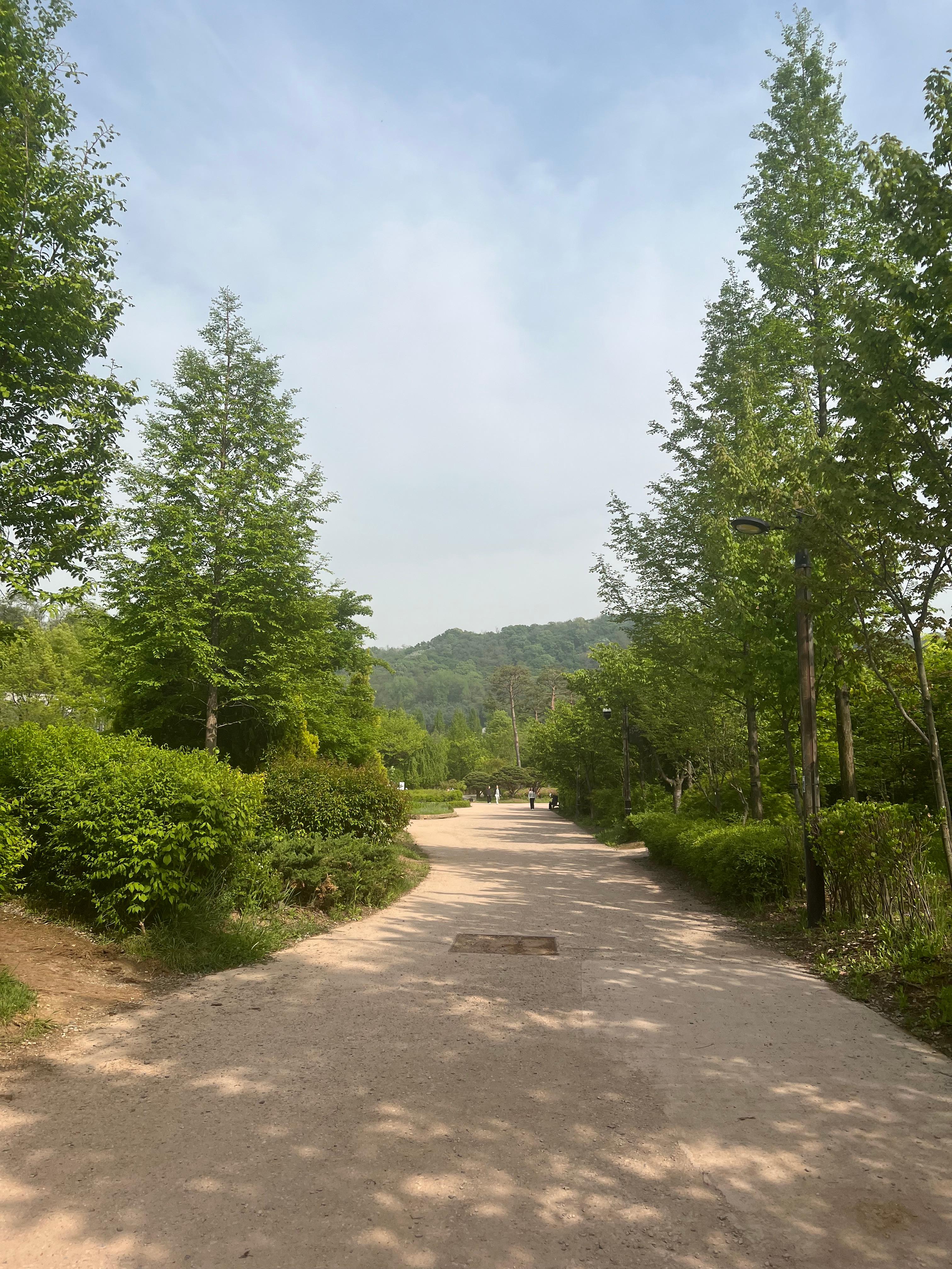 항동 실거주자 사진 4