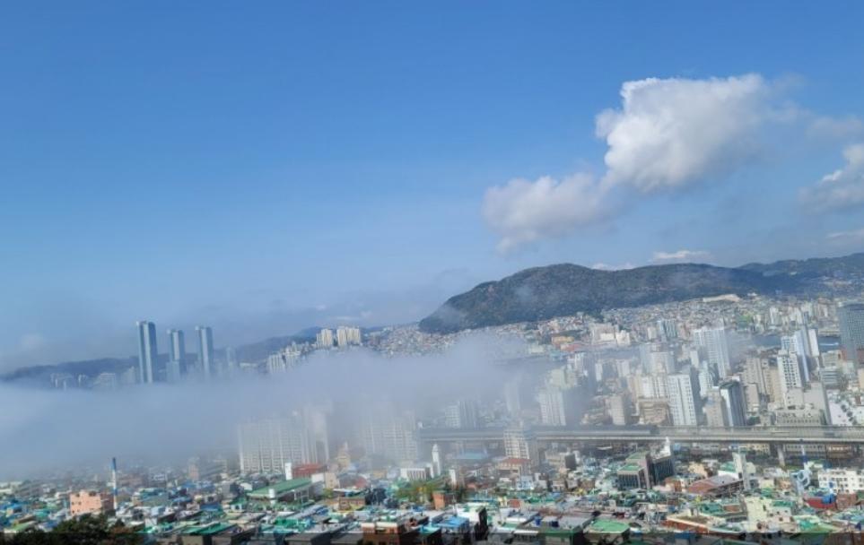 봉래동4가 실거주자 사진 5