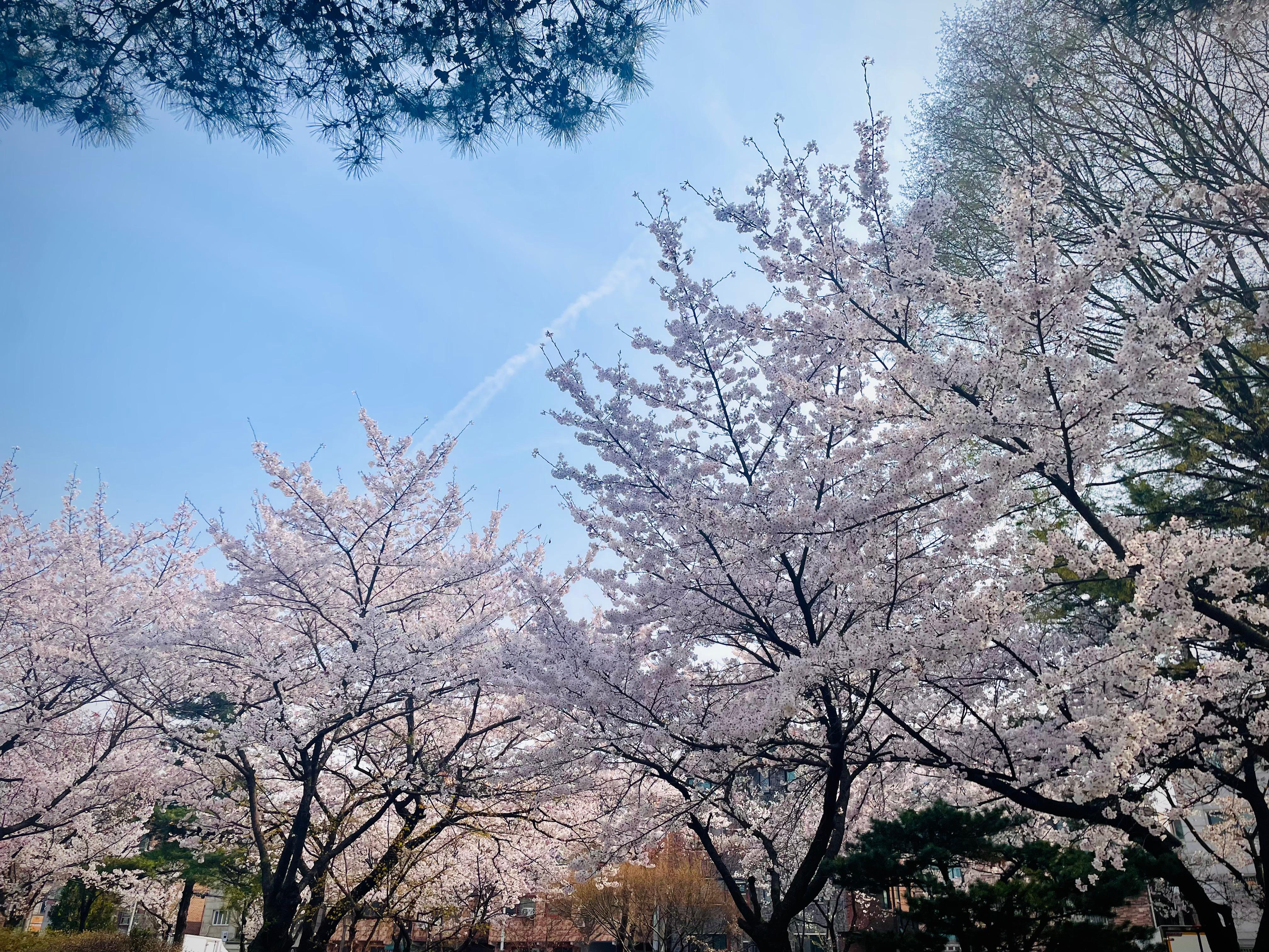 이동 실거주자 사진 1