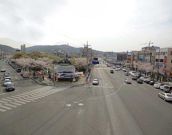온산읍 실거주자 사진 3
