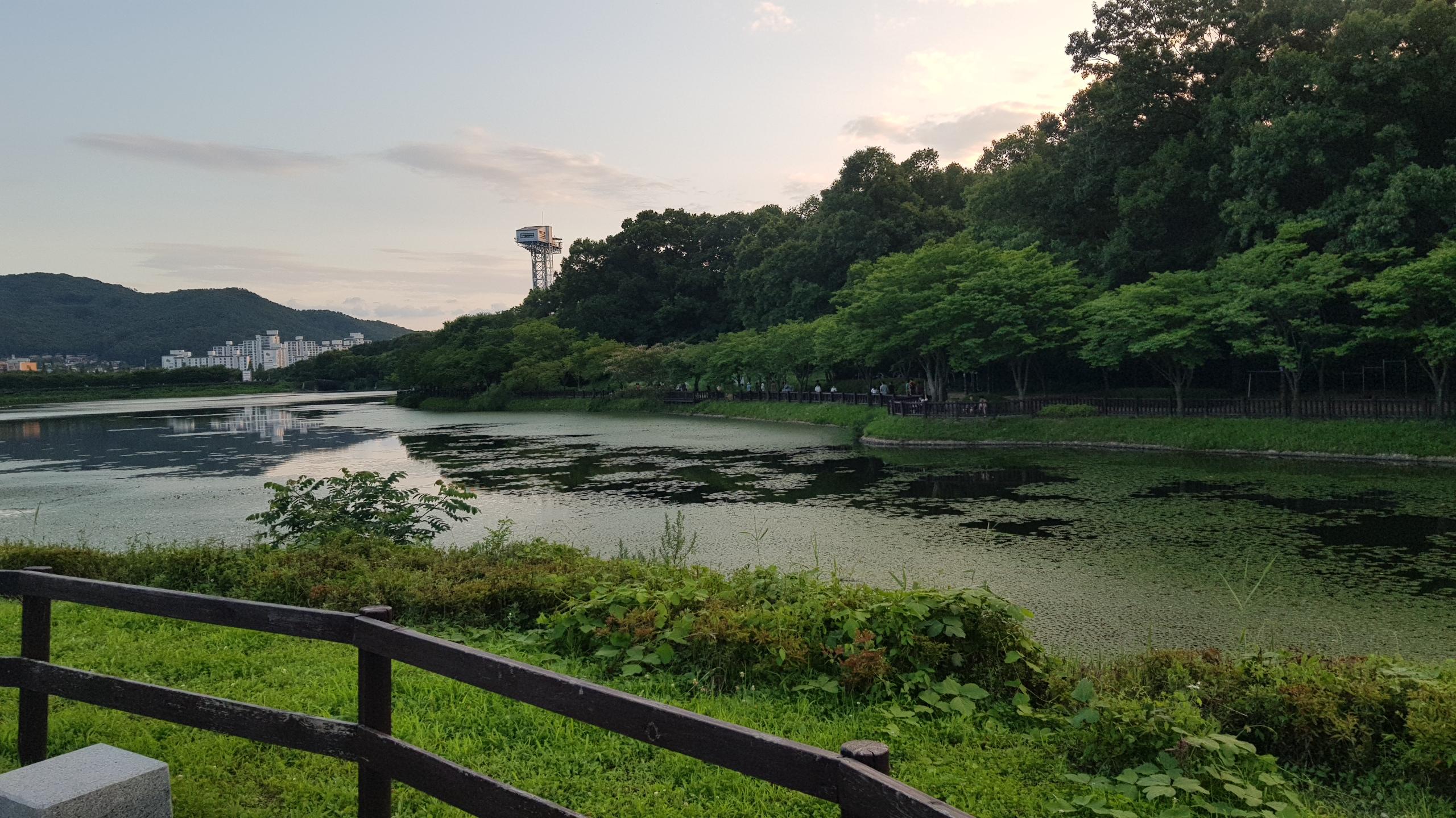 신현동 실거주자 사진 1