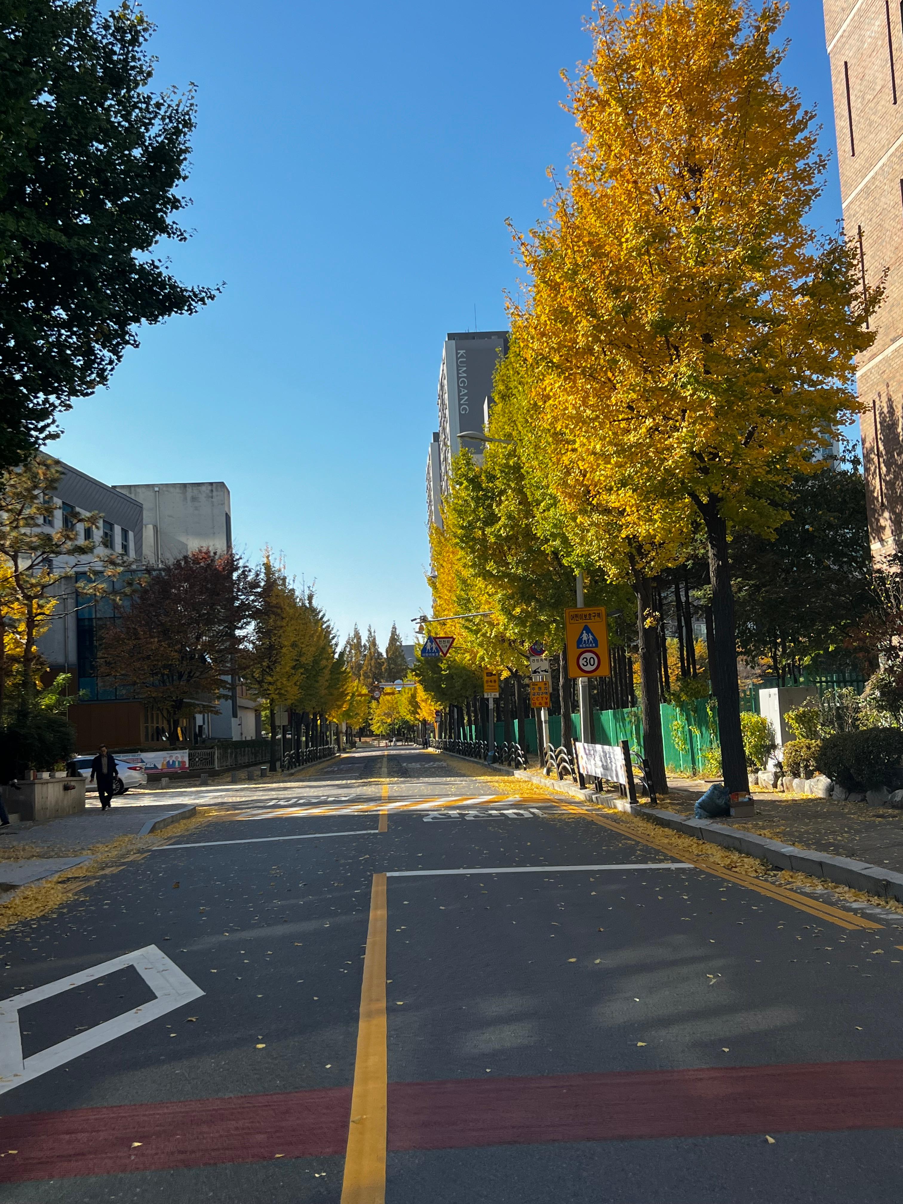 중동 실거주자 사진 2