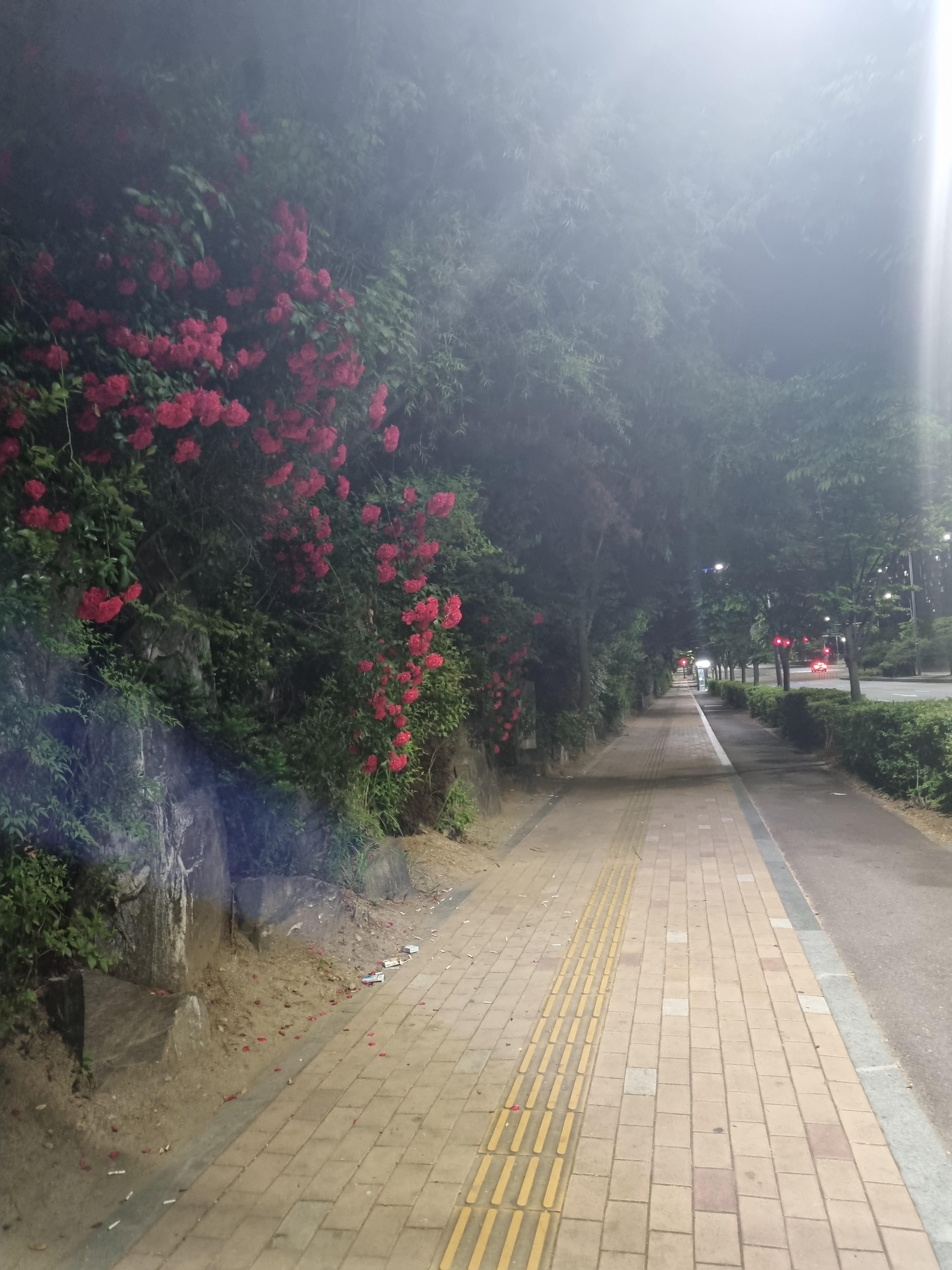 망포동 실거주자 사진 2