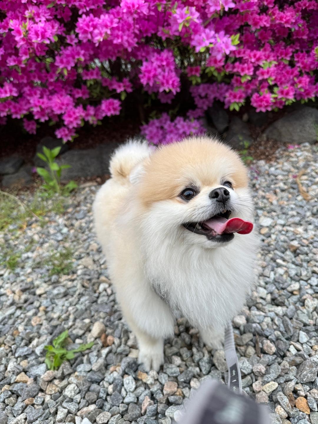 의정부동 실거주자 사진 2