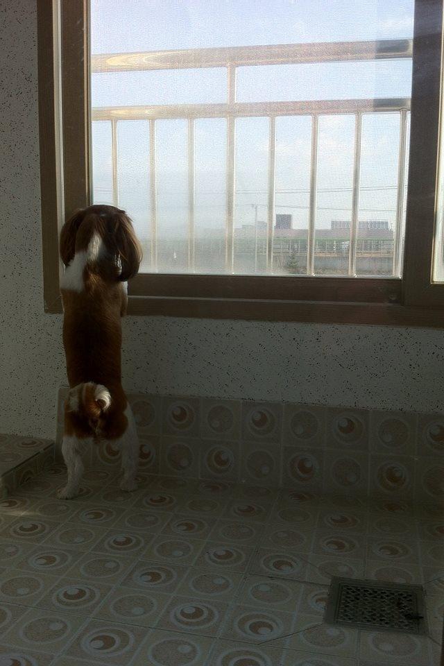 형곡동 실거주자 사진 4