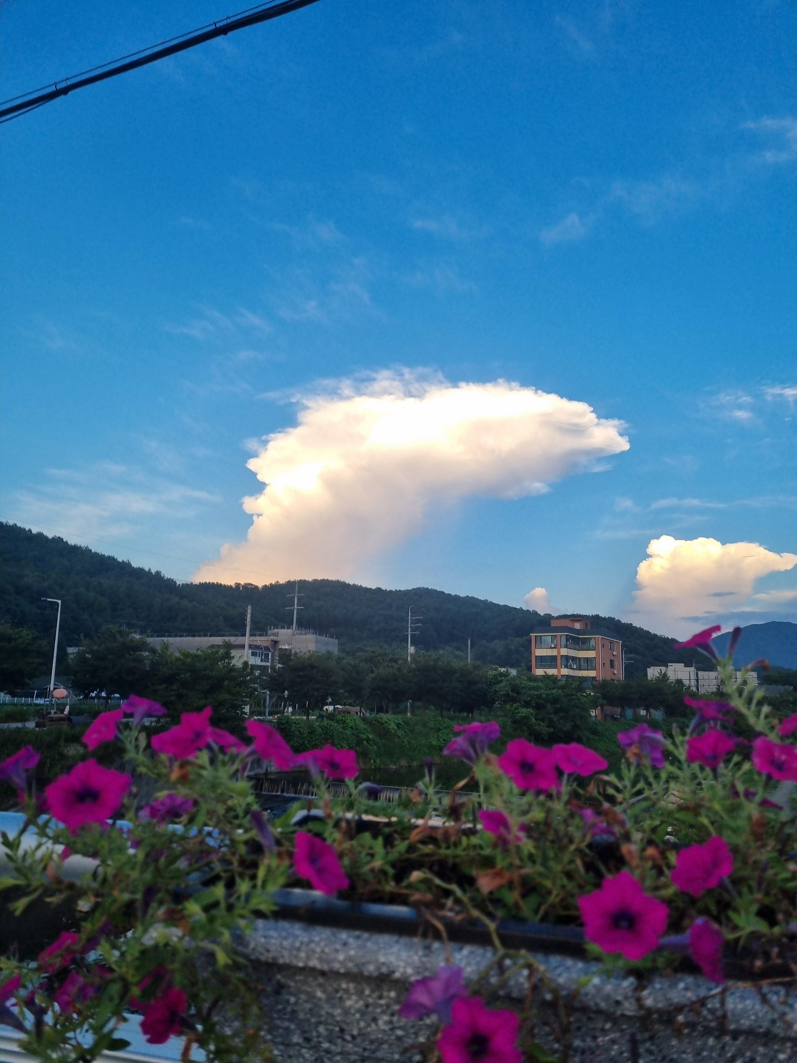 설악면 실거주자 사진 1