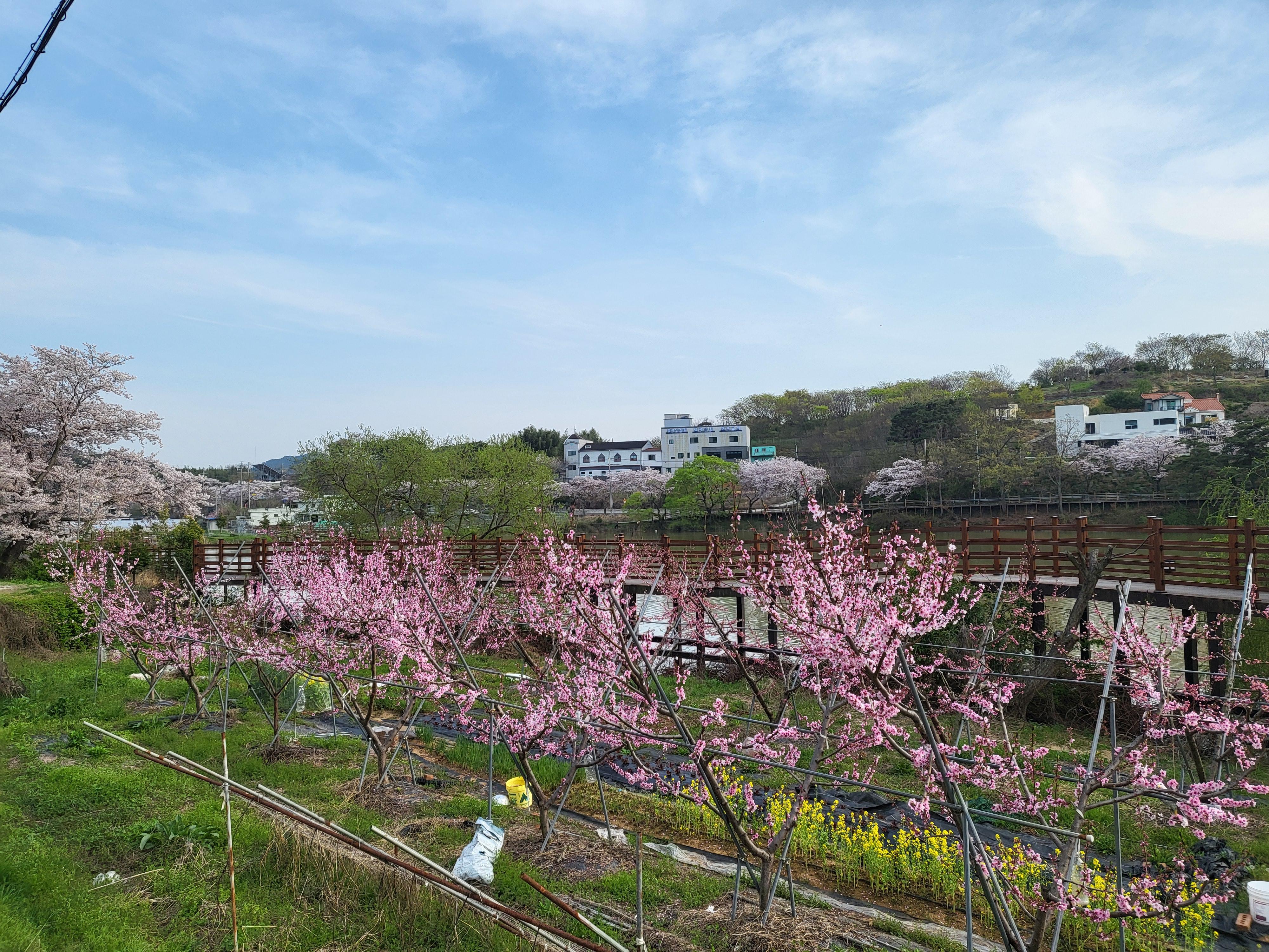 금산면 실거주자 사진 2