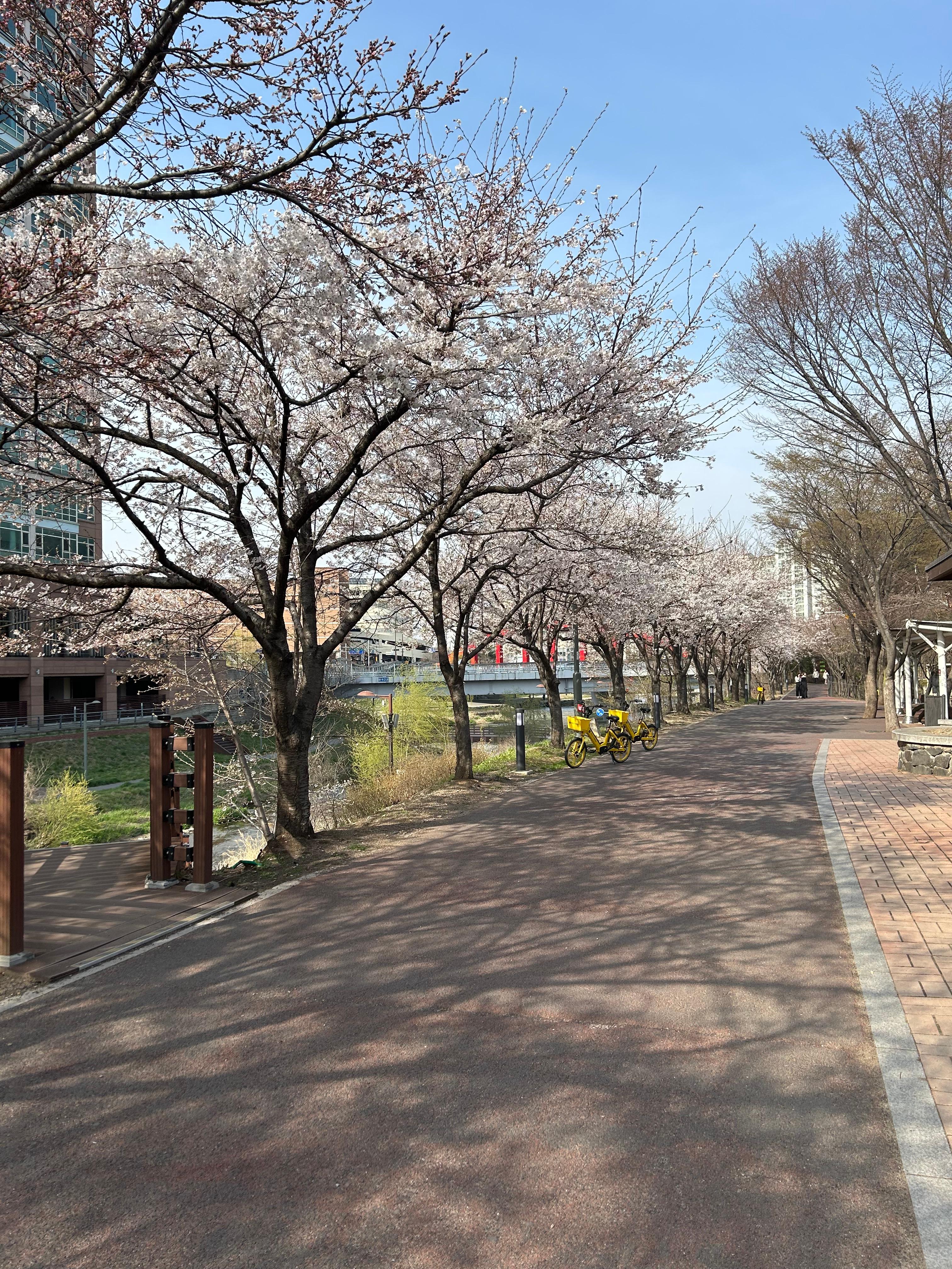 보정동 실거주자 사진 2