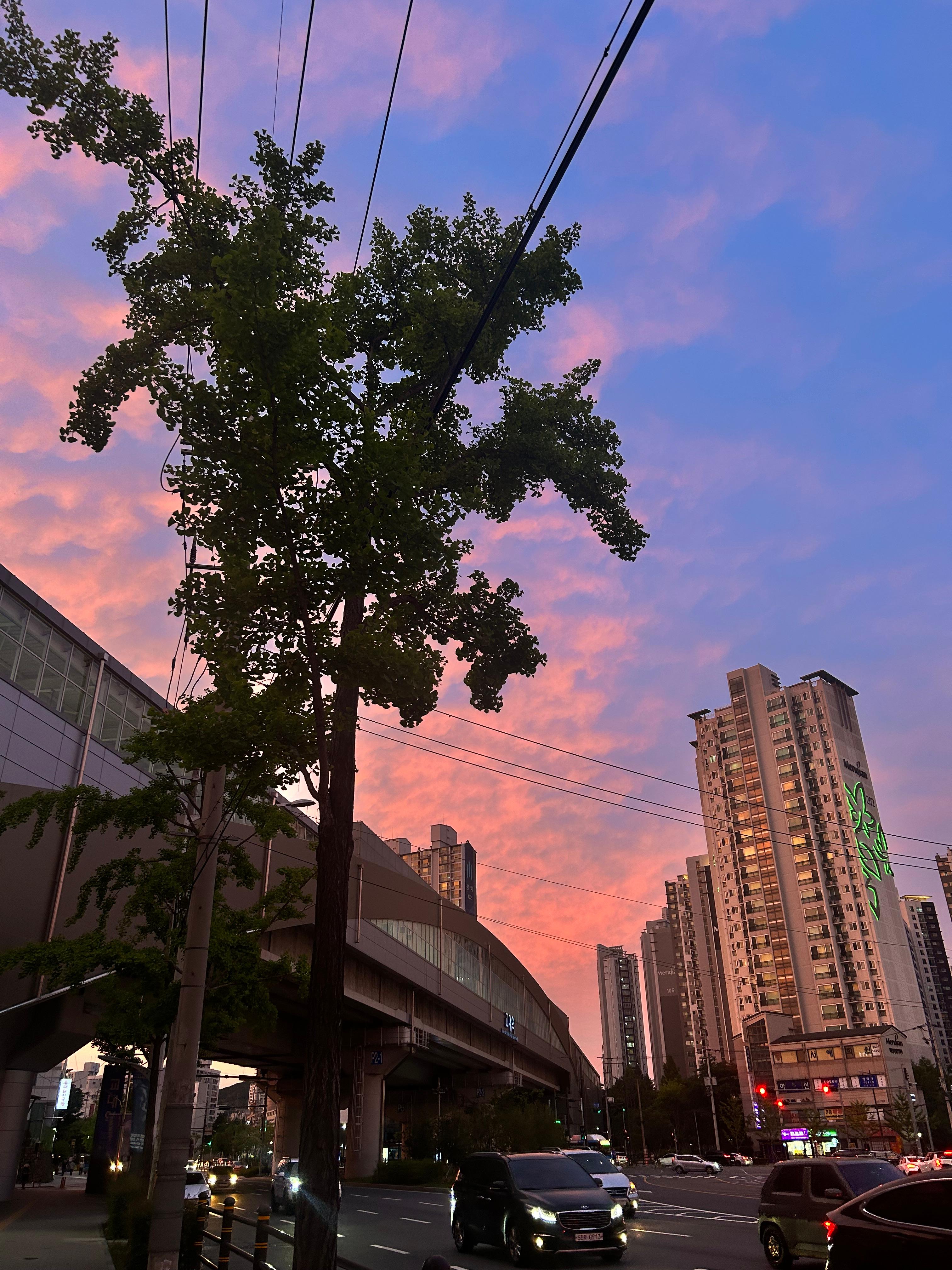 거제동 실거주자 사진 1
