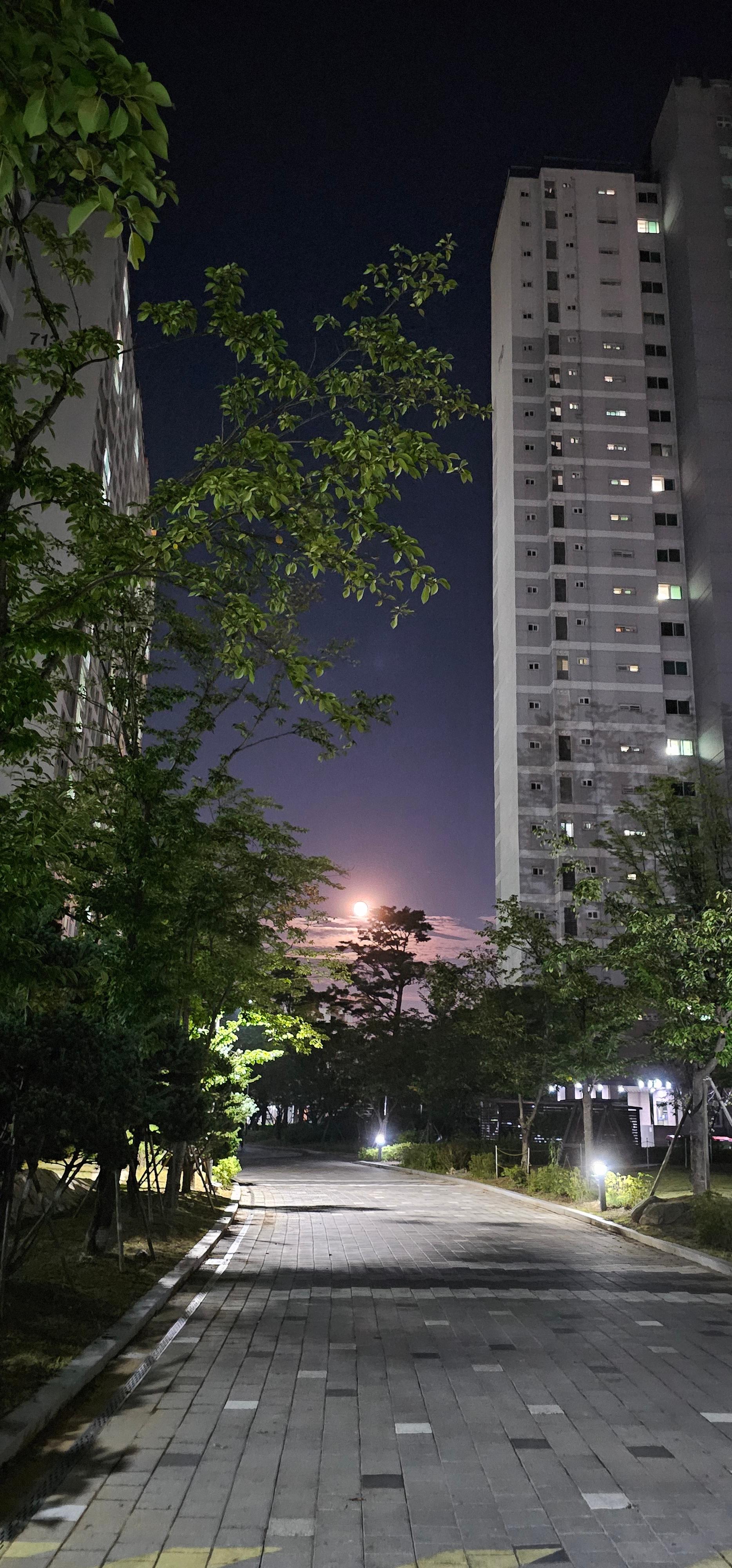 도내동 실거주자 사진 1