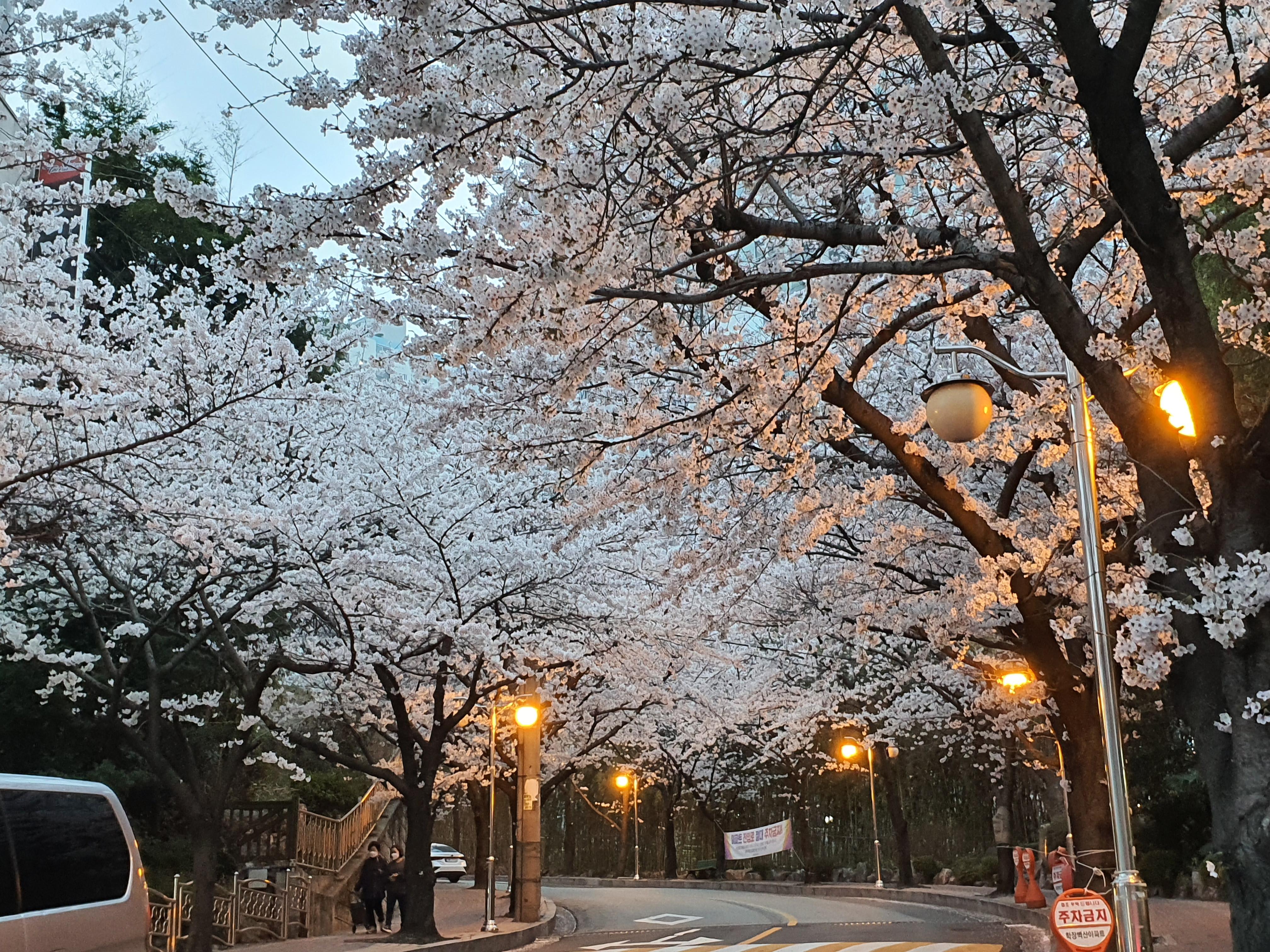학장동 실거주자 사진 2