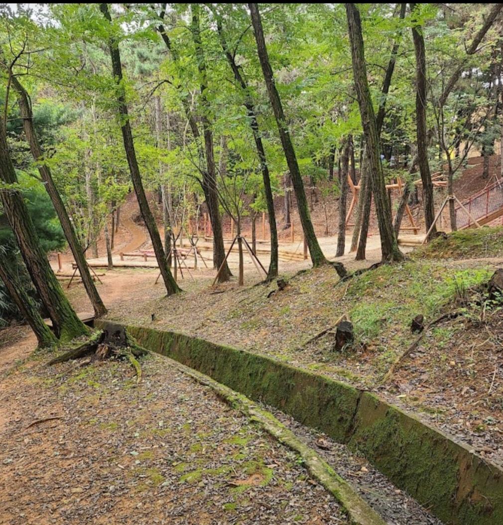 산정동 실거주자 사진 2