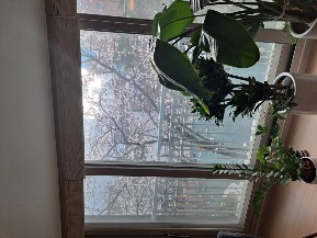 고척동 실거주자 사진 5