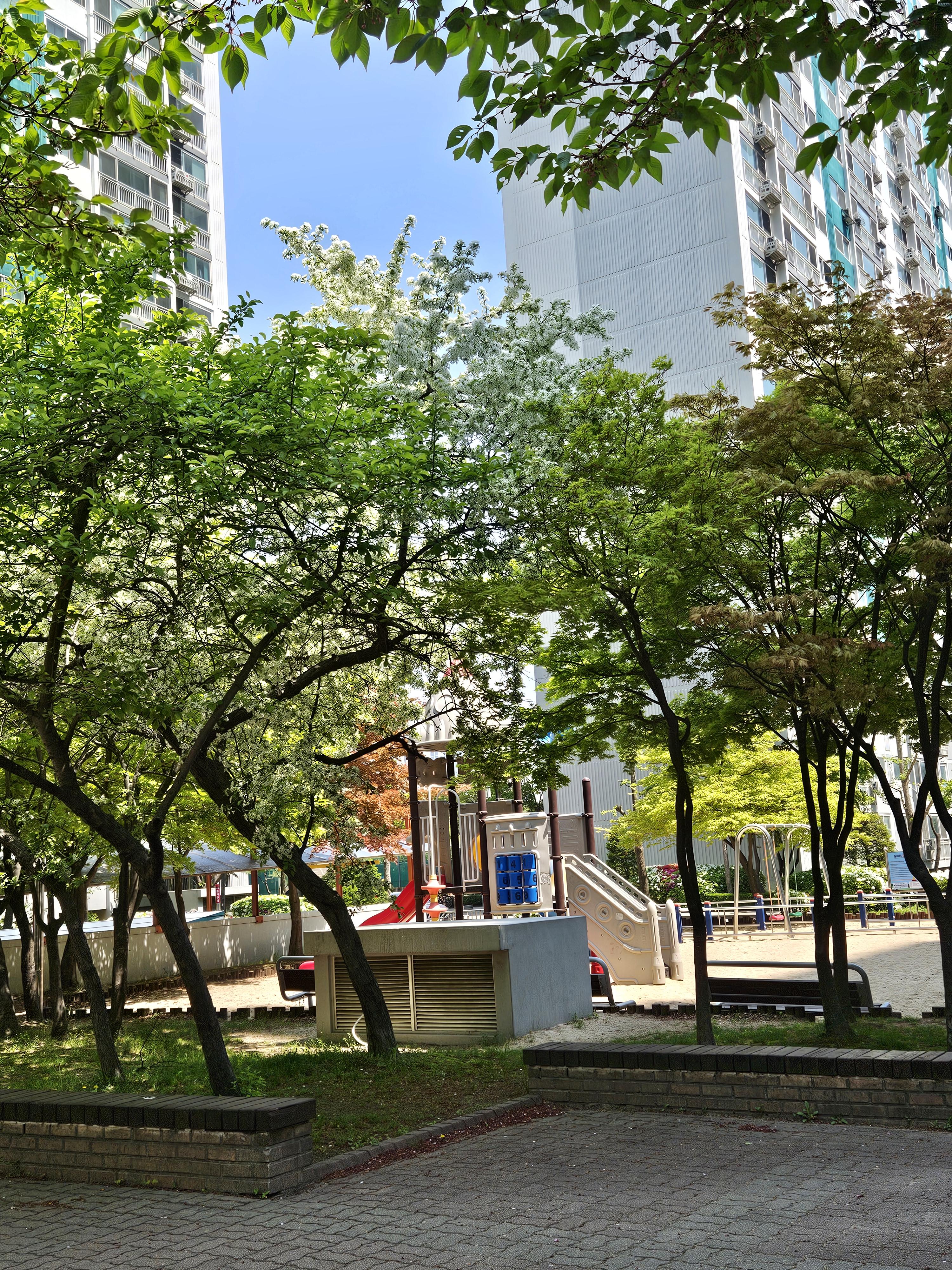 천천동 실거주자 사진 1