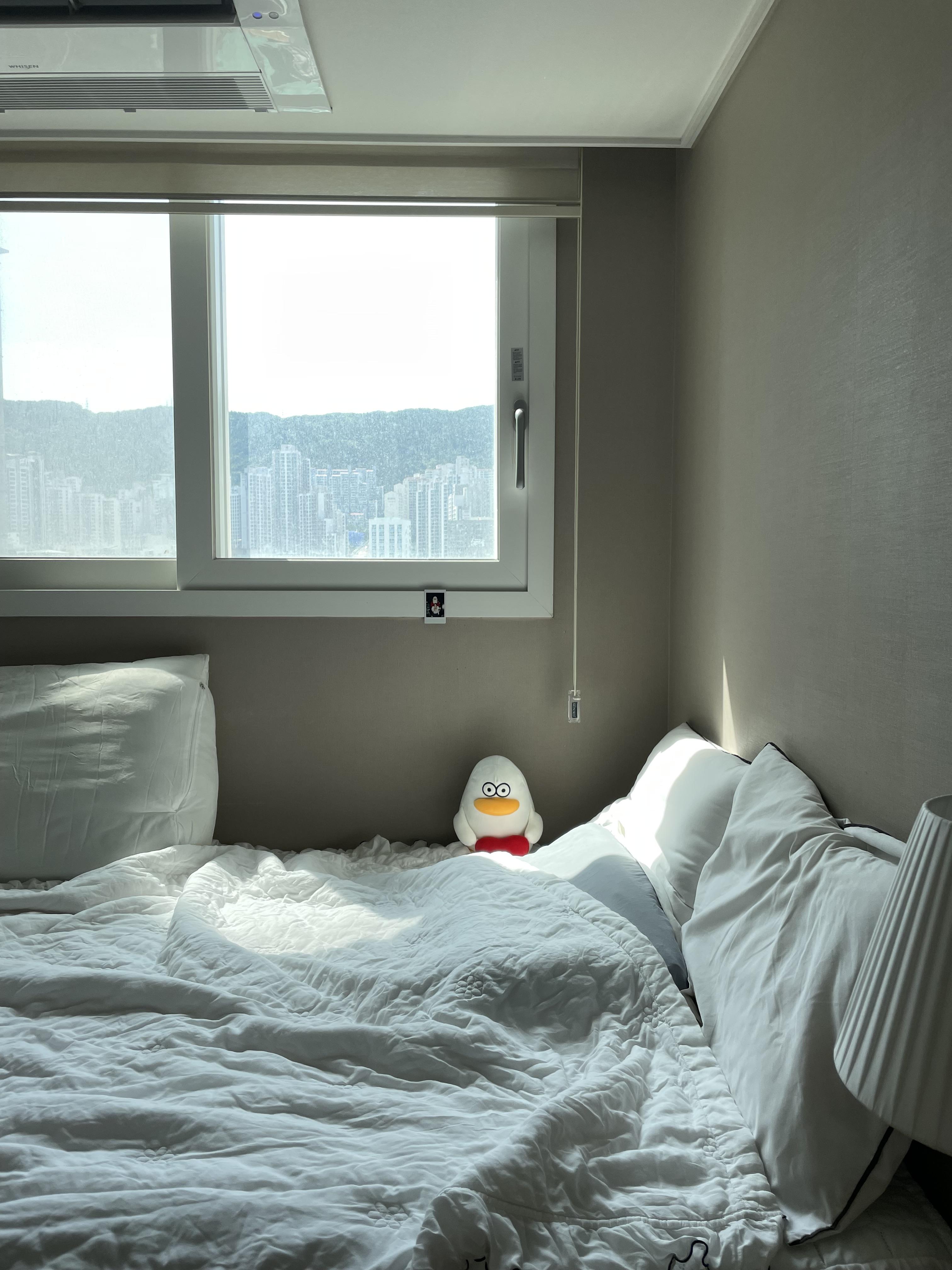 사직동 실거주자 사진 4