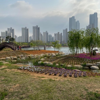 마산동 실거주자 사진 1