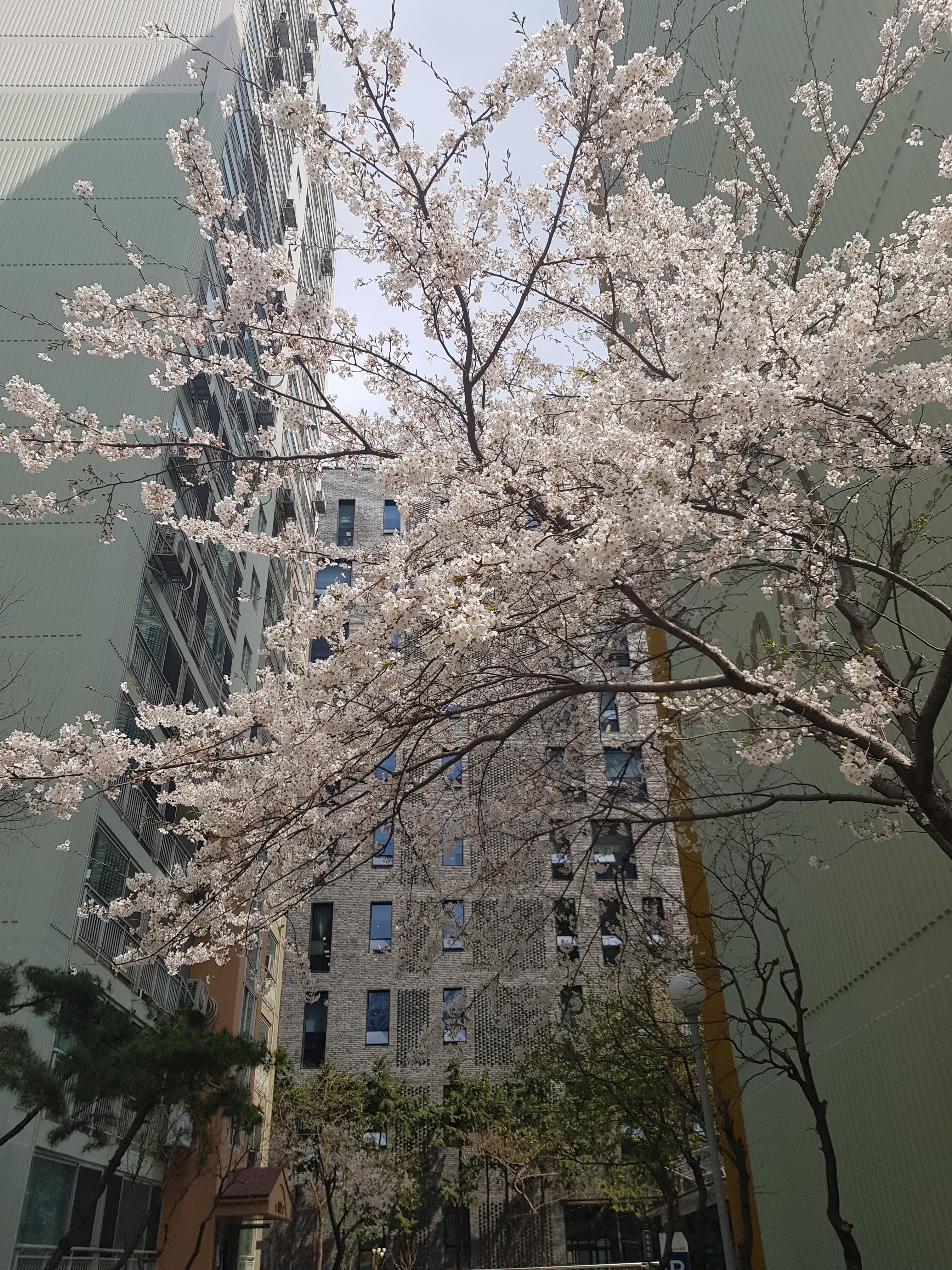 성수동1가 실거주자 사진 5