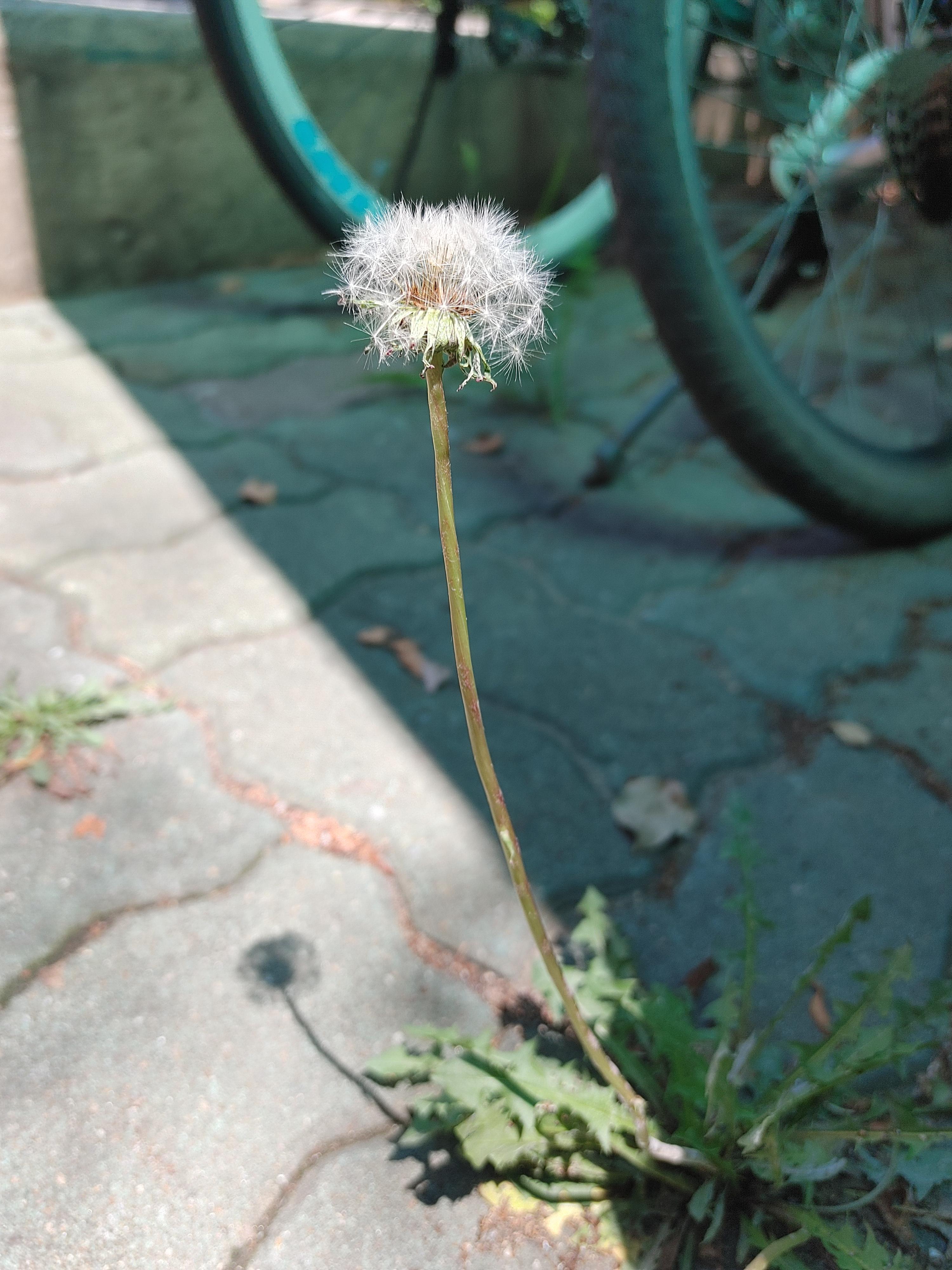 성수동1가 실거주자 사진 6
